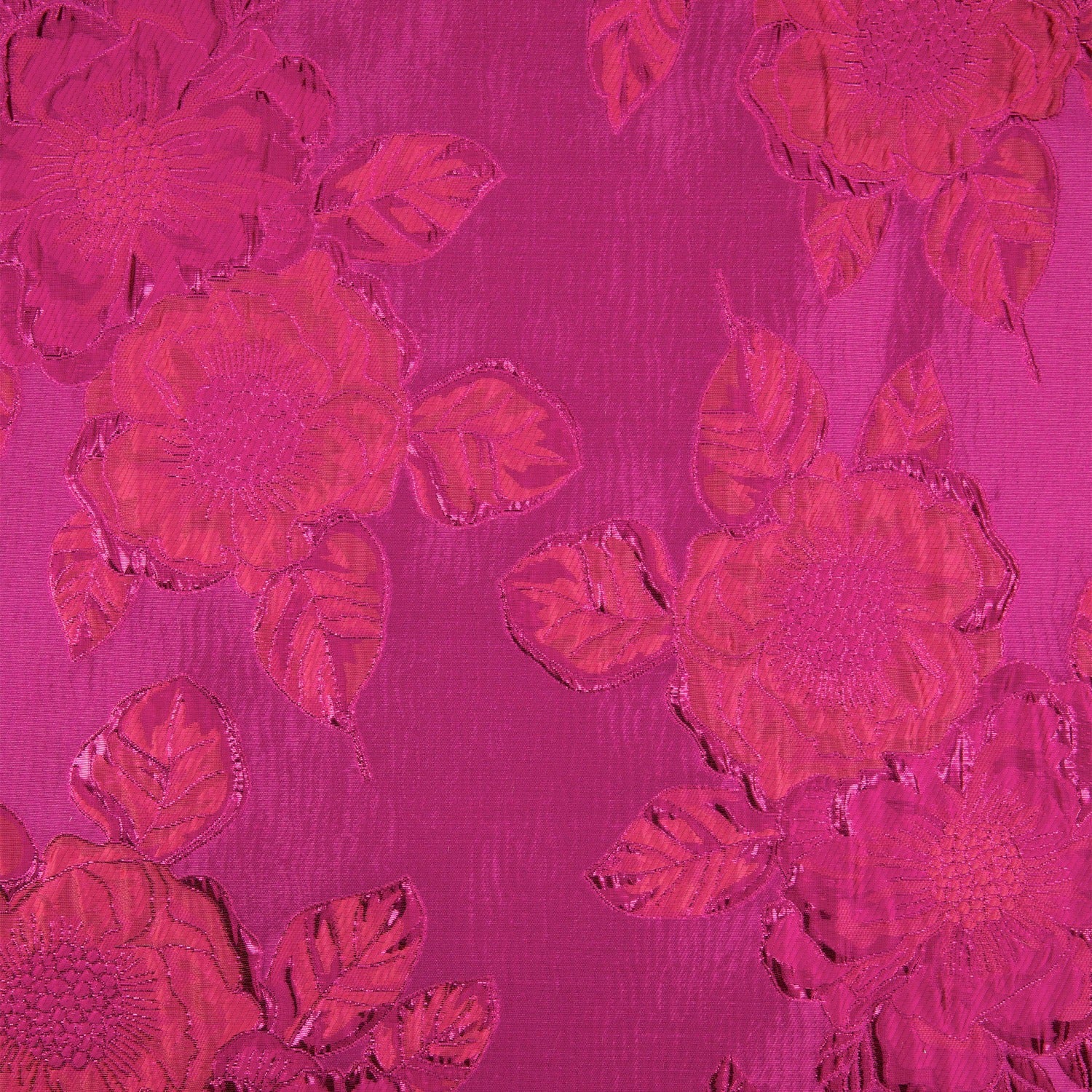 #color_FUCHSIA/AZALEA