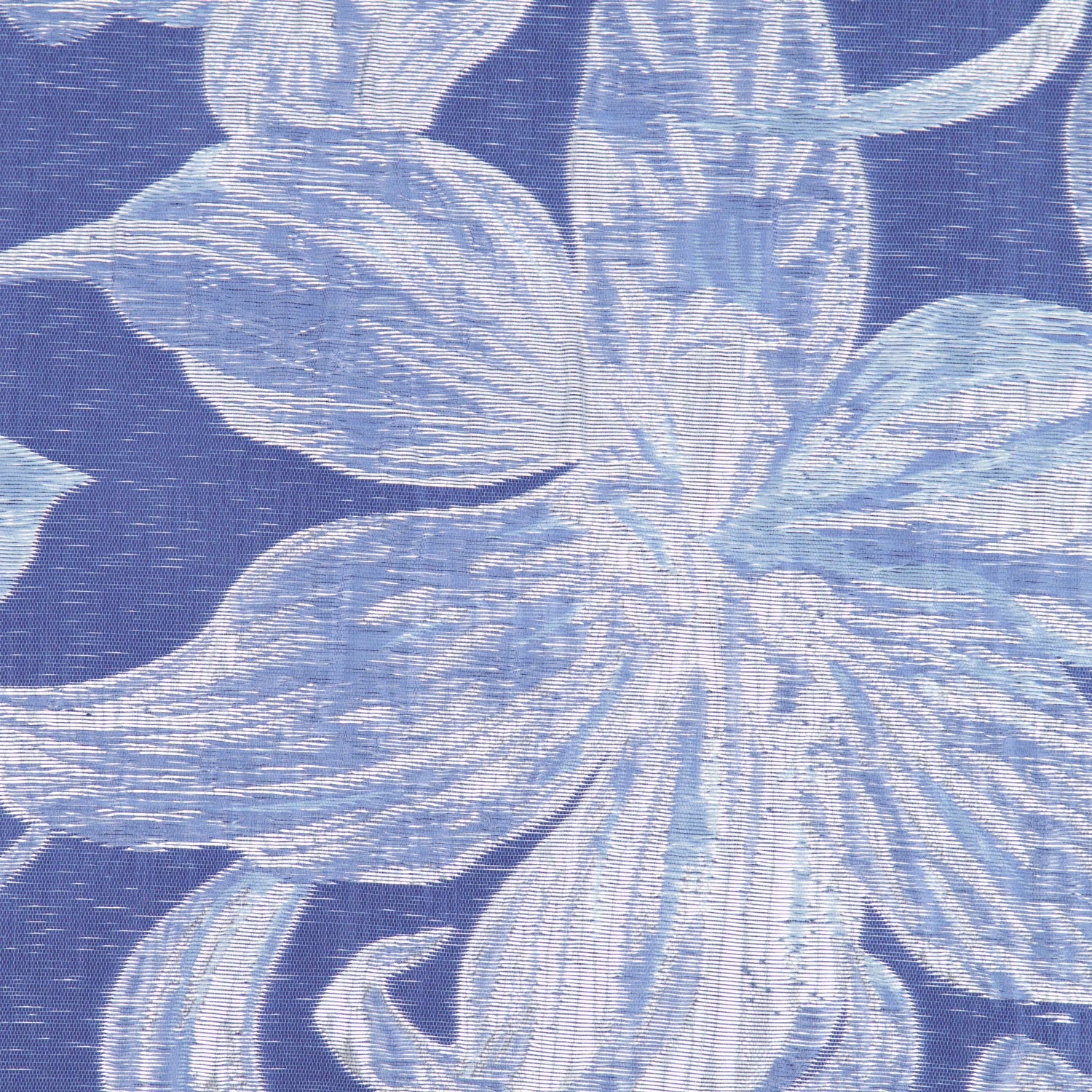 #color_ATLANTIC/PERI