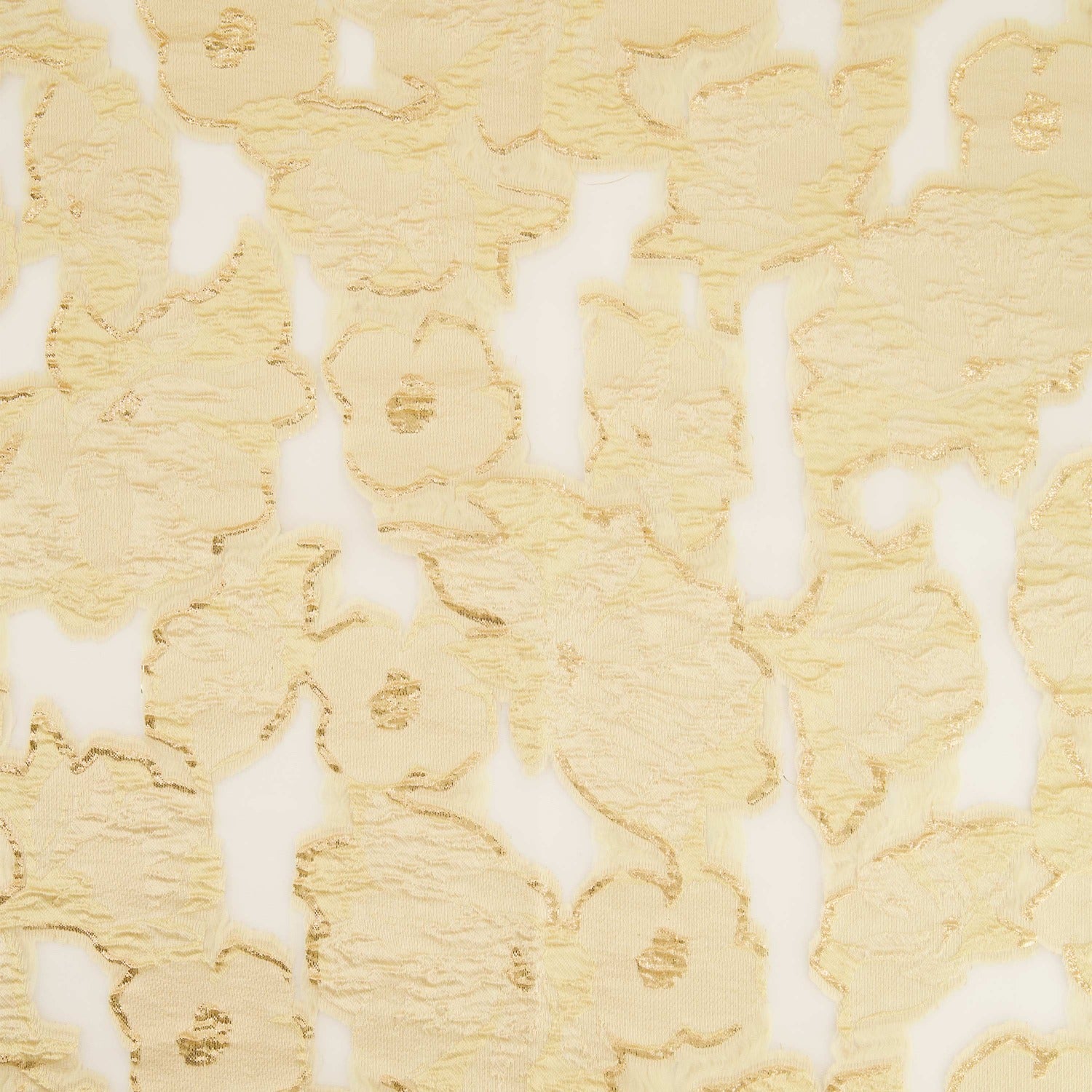#color_WHITE/CHAMPAGNE