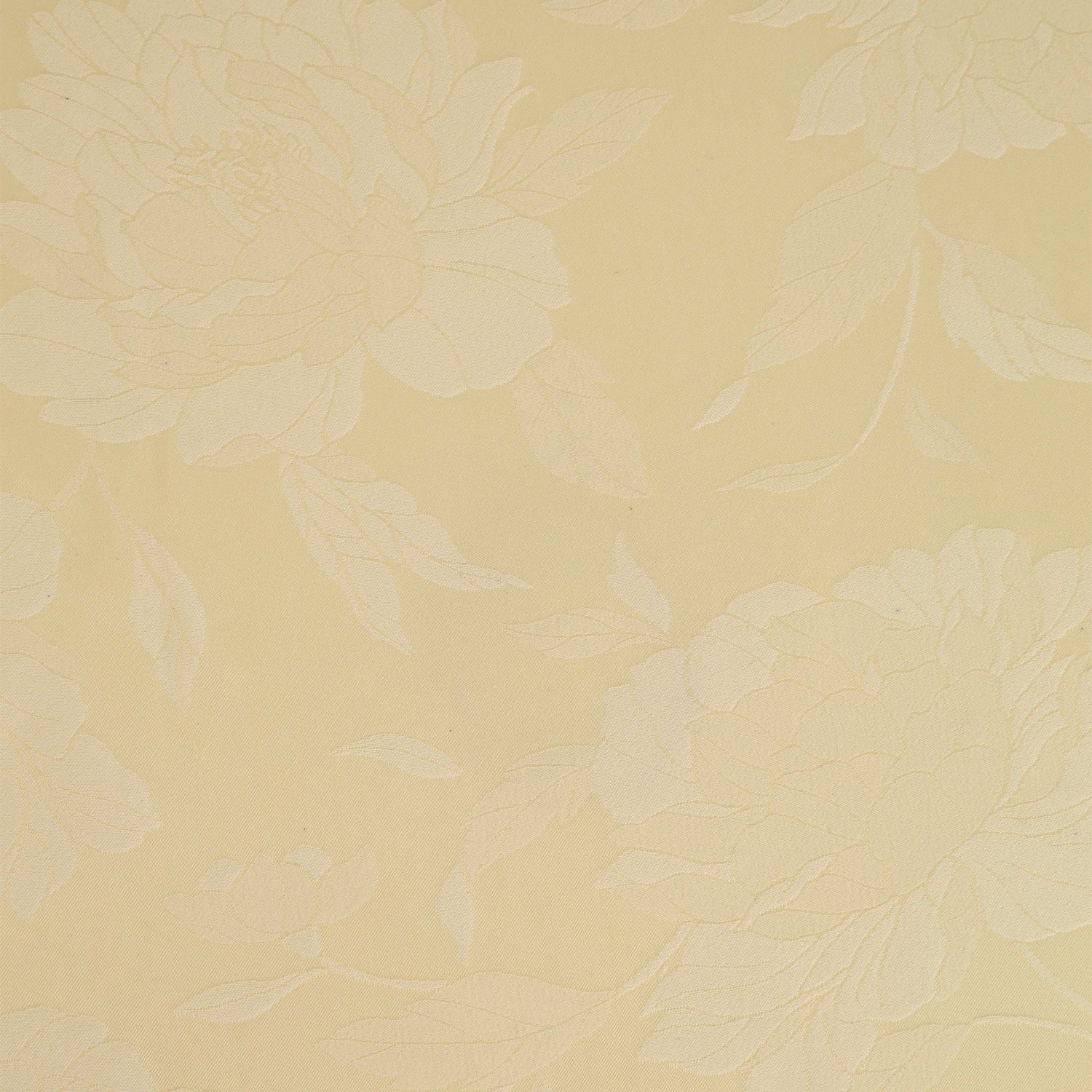 #color_CHAMPAGNE/IVORY