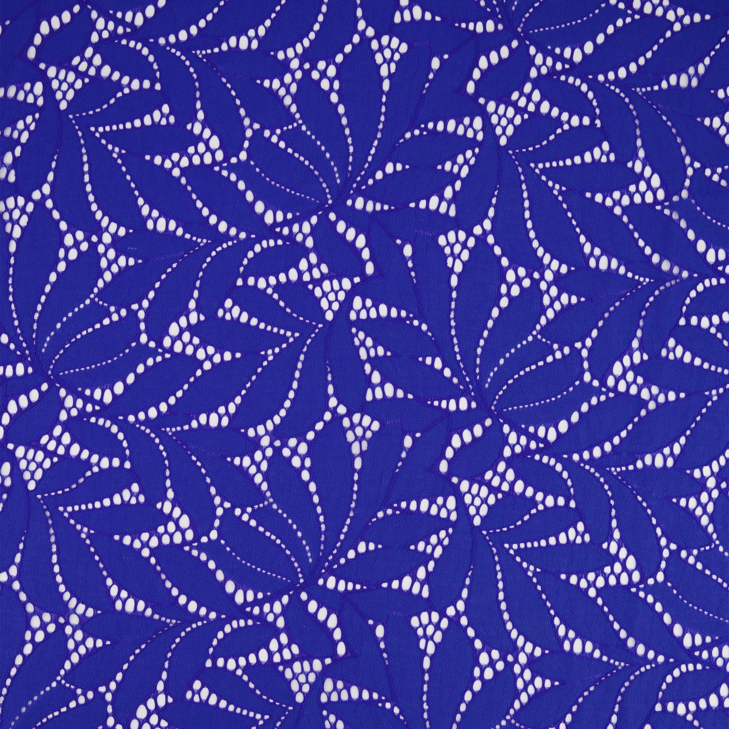 #color_JOYFUL AZURE