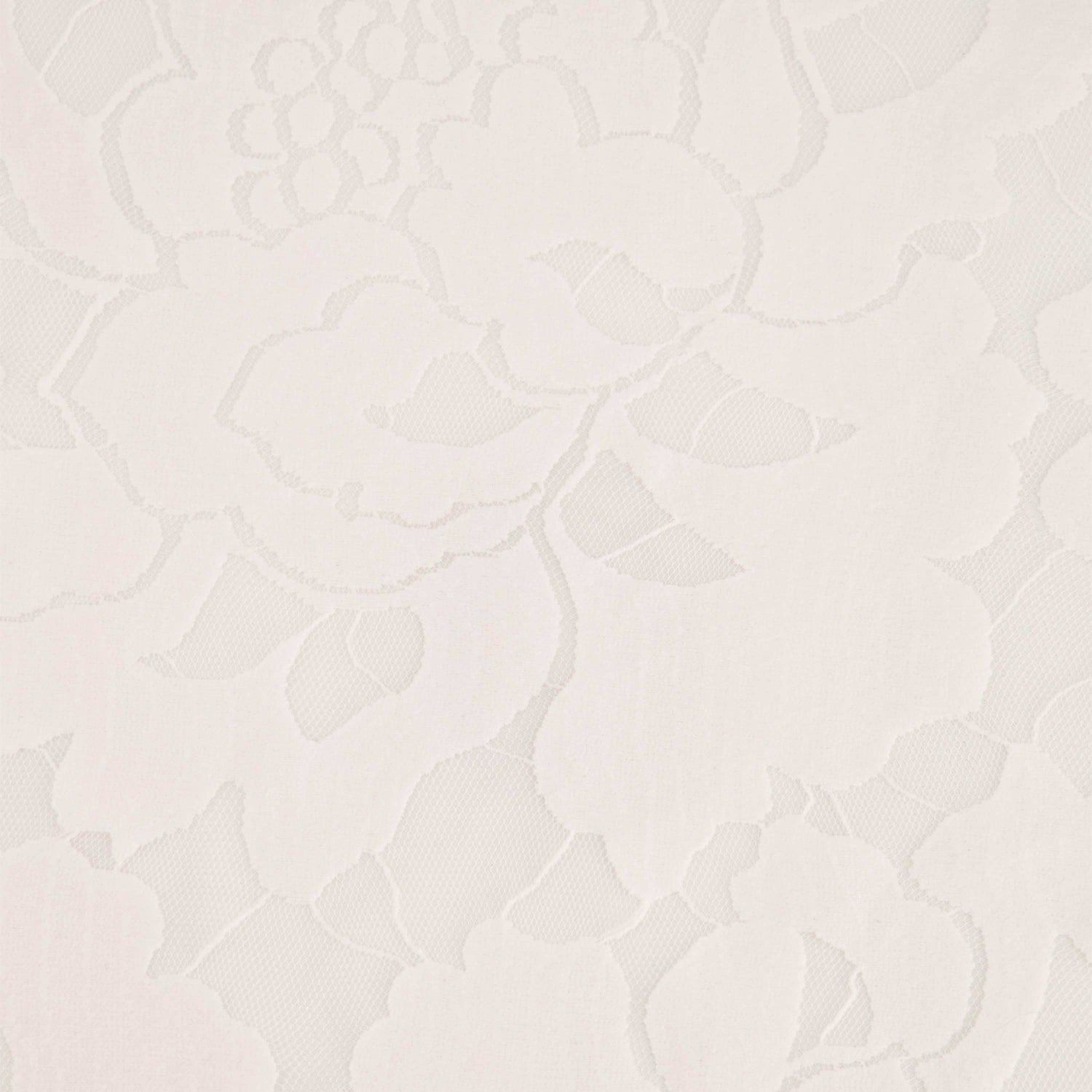 #color_IVORY BREEZE