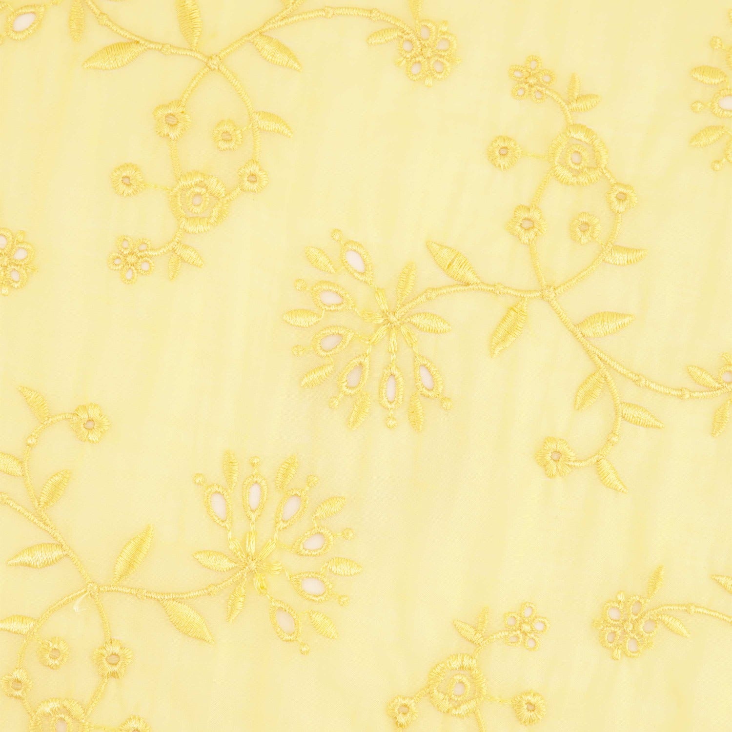 #color_BUTTERCUP/BUTTERCUP