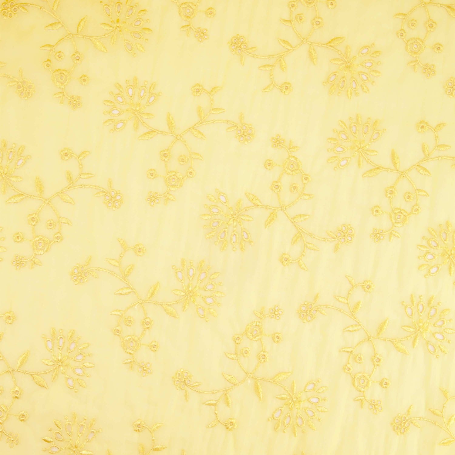 #color_BUTTERCUP/BUTTERCUP
