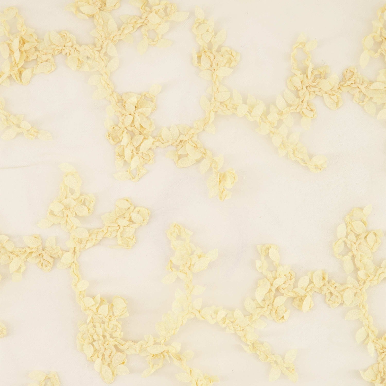 #color_CHAMPAGNE