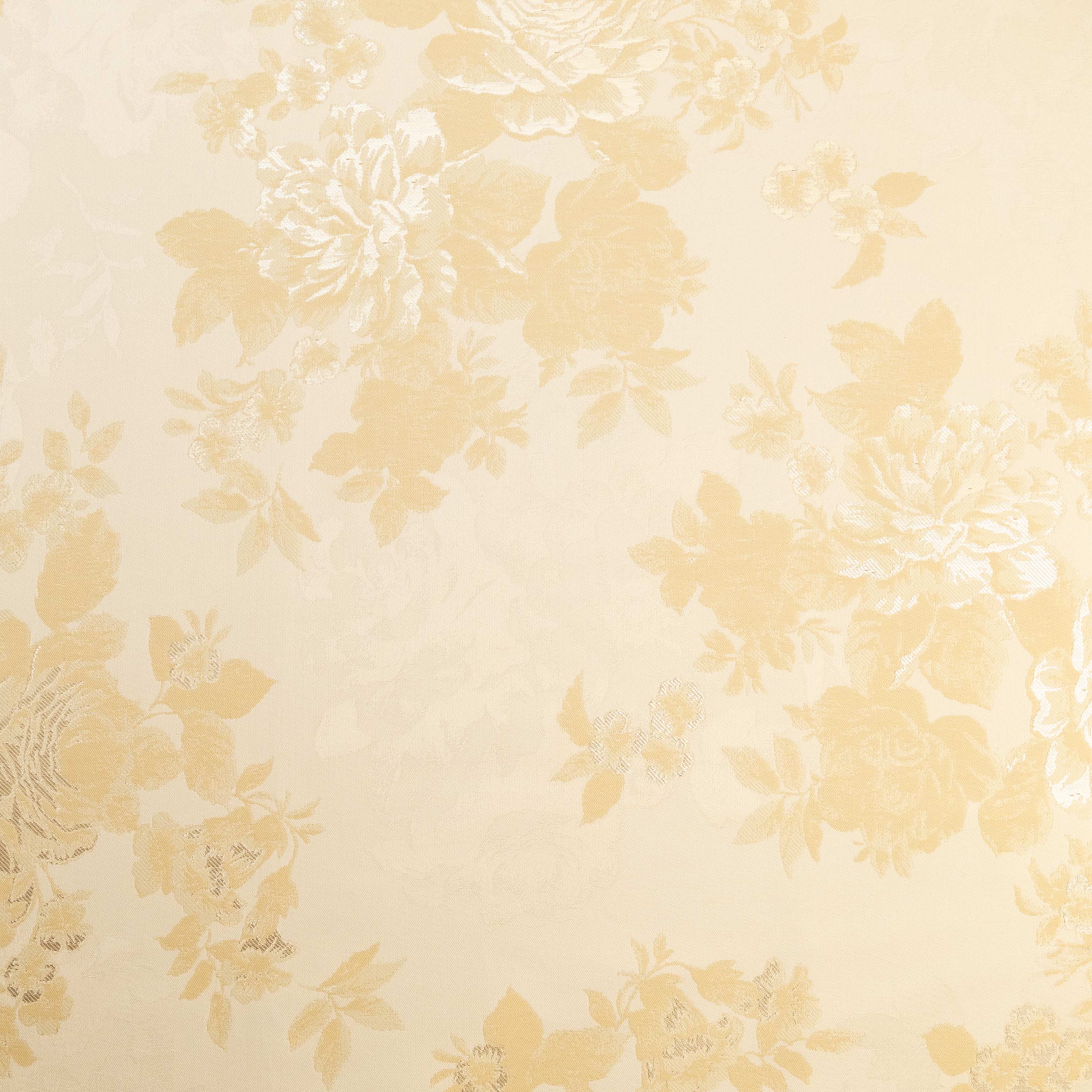 #color_IVORY/CHAMPAGNE