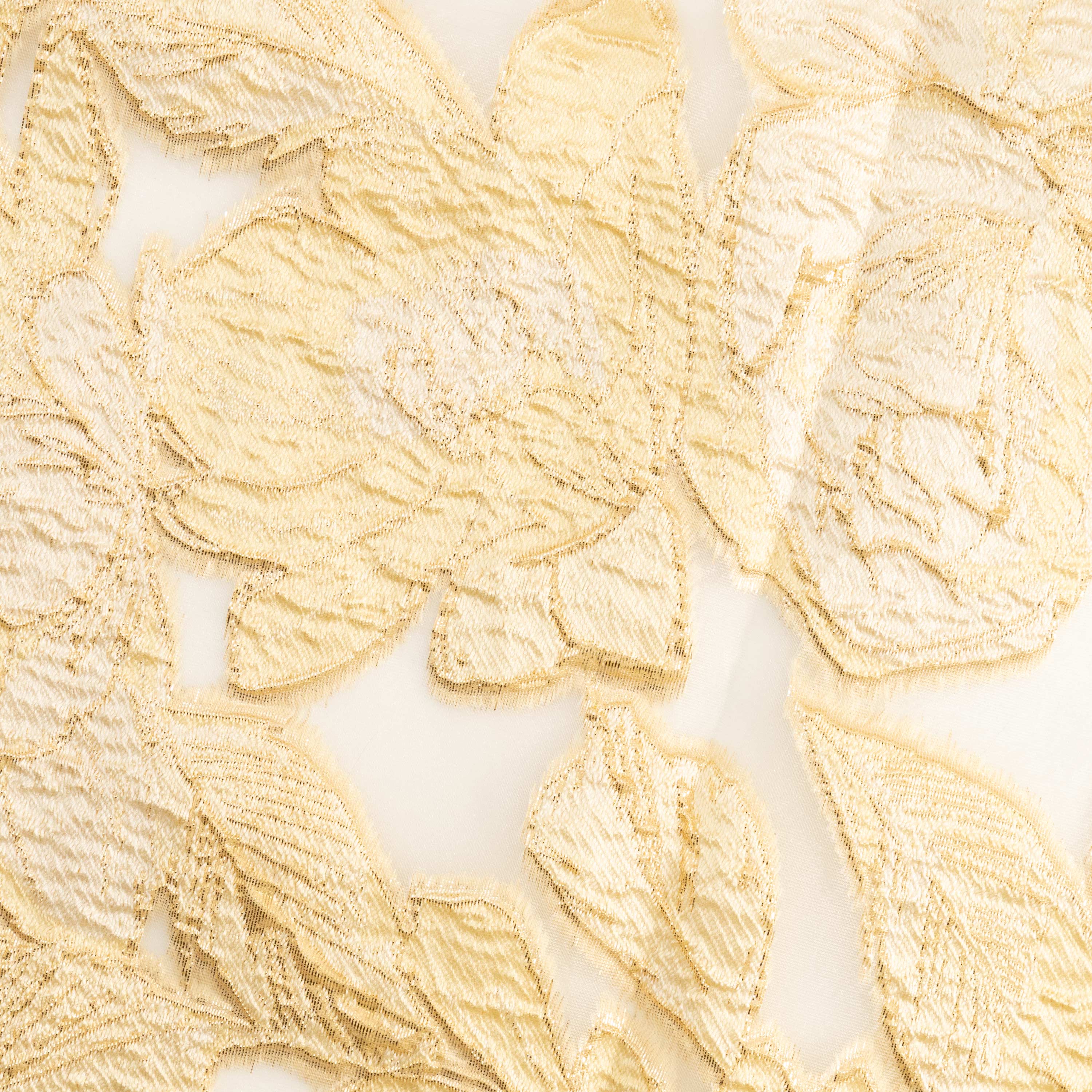 #color_WHITE/CHAMPAGNE