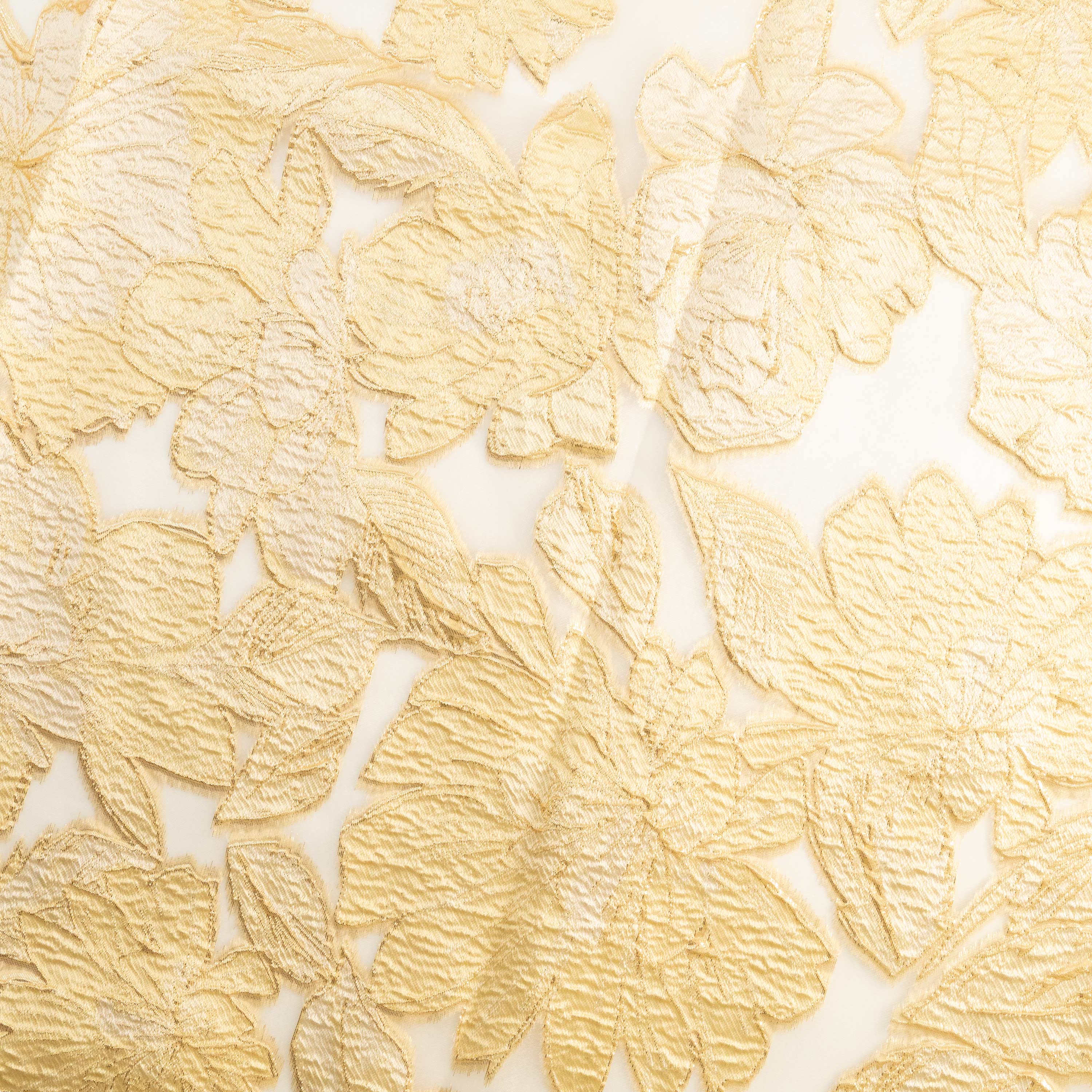 #color_WHITE/CHAMPAGNE