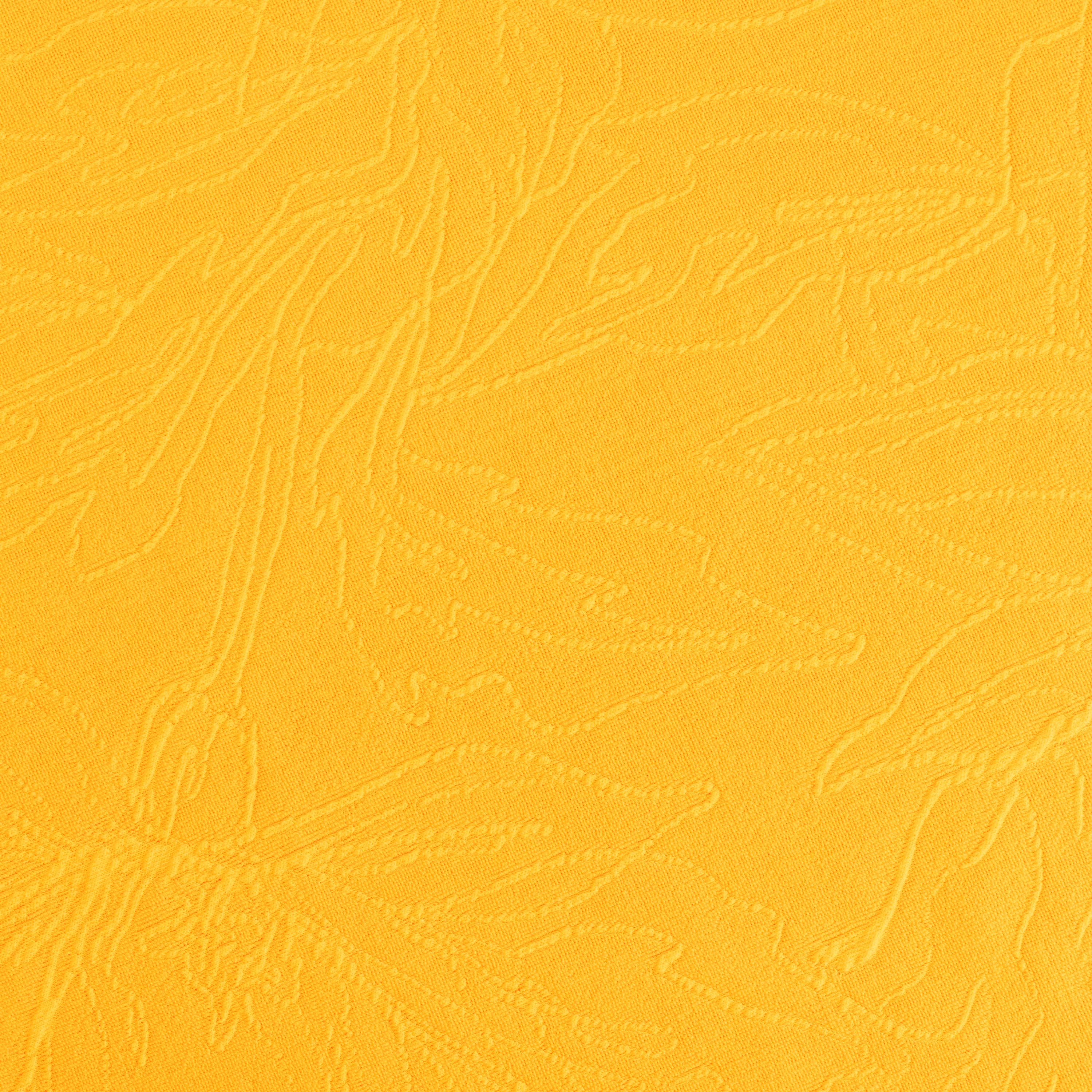 #color_MIMOSA