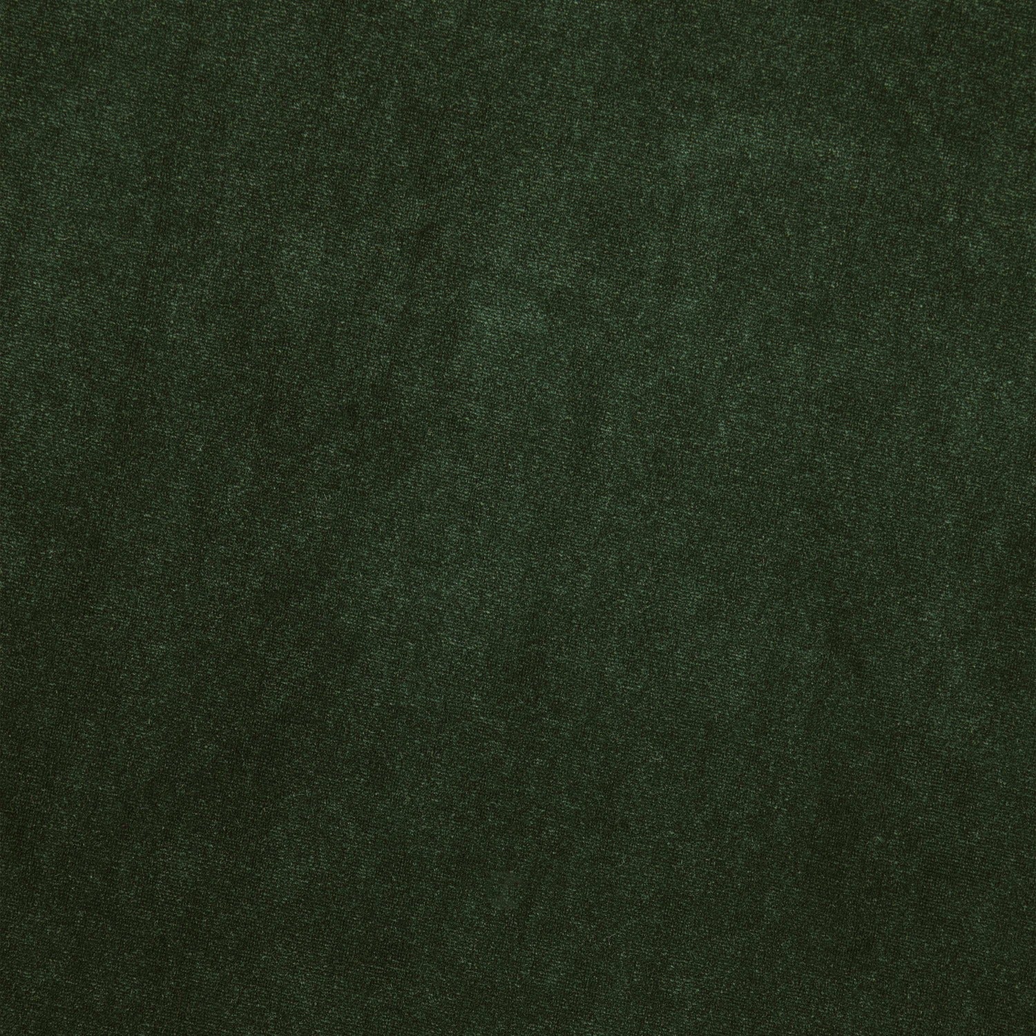 #color_BAROQUE PINE