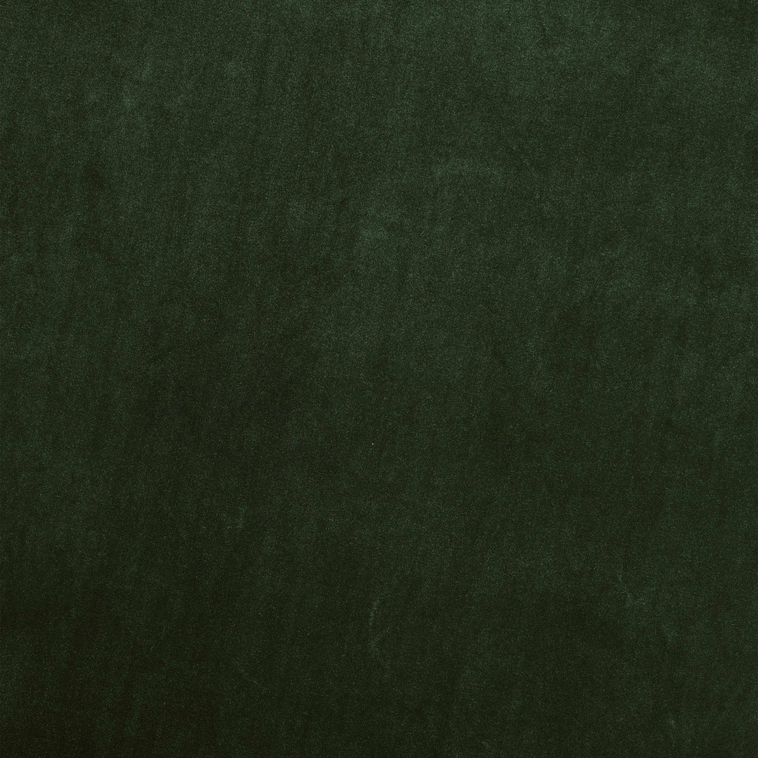 #color_BAROQUE PINE