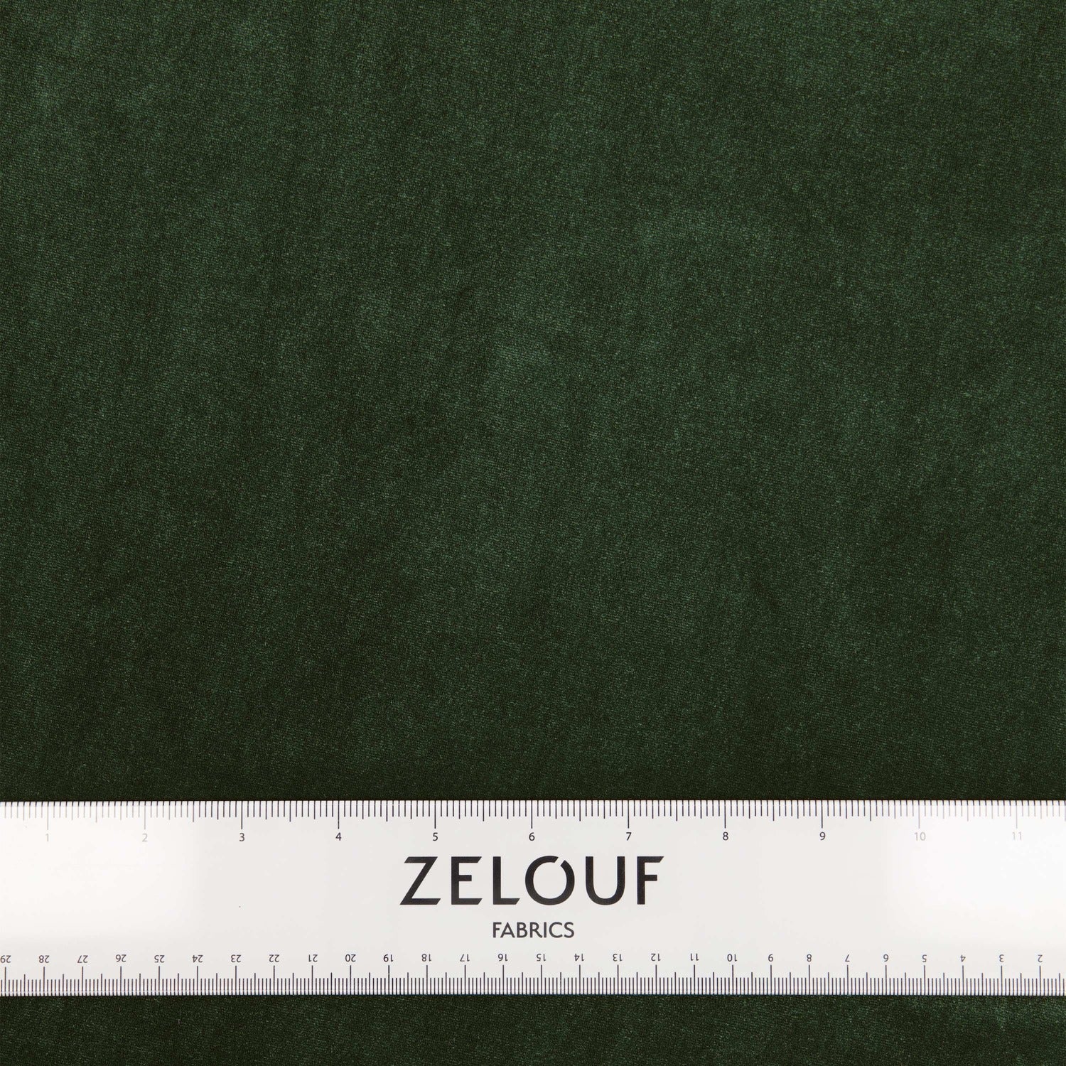#color_BAROQUE PINE
