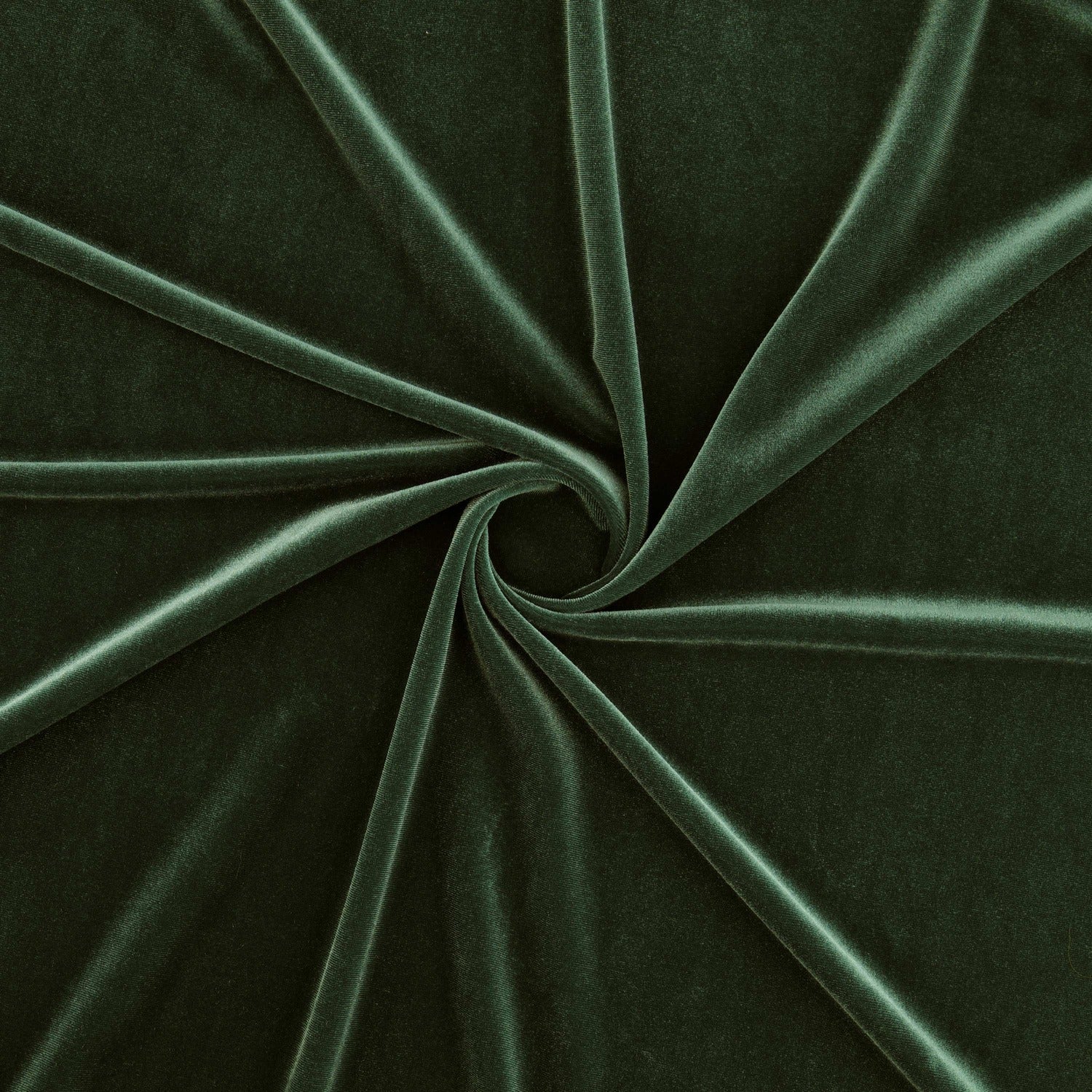 #color_BAROQUE PINE