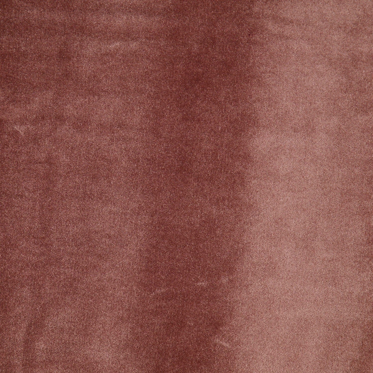 #color_BEYOND ROSE