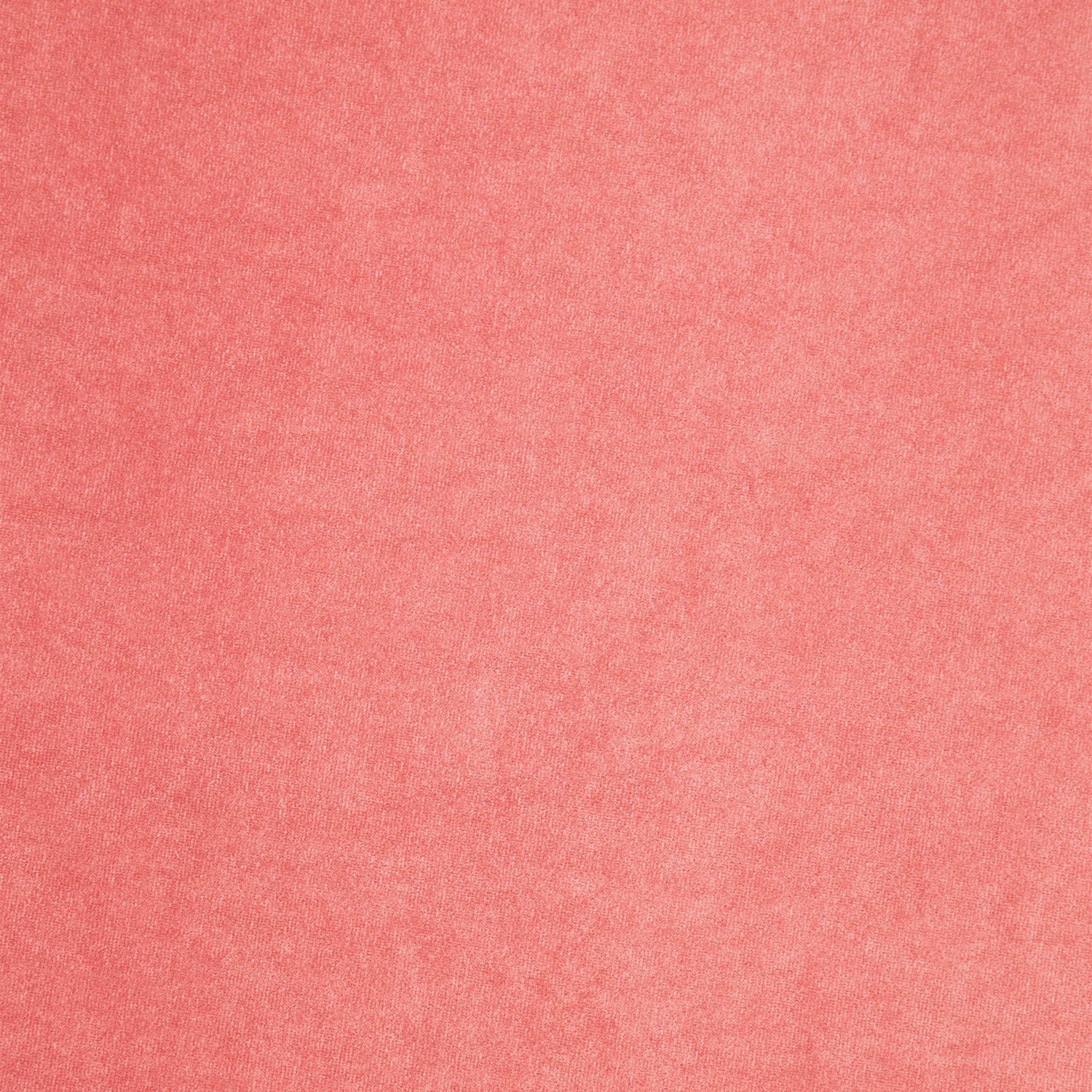 #color_FINE CORAL