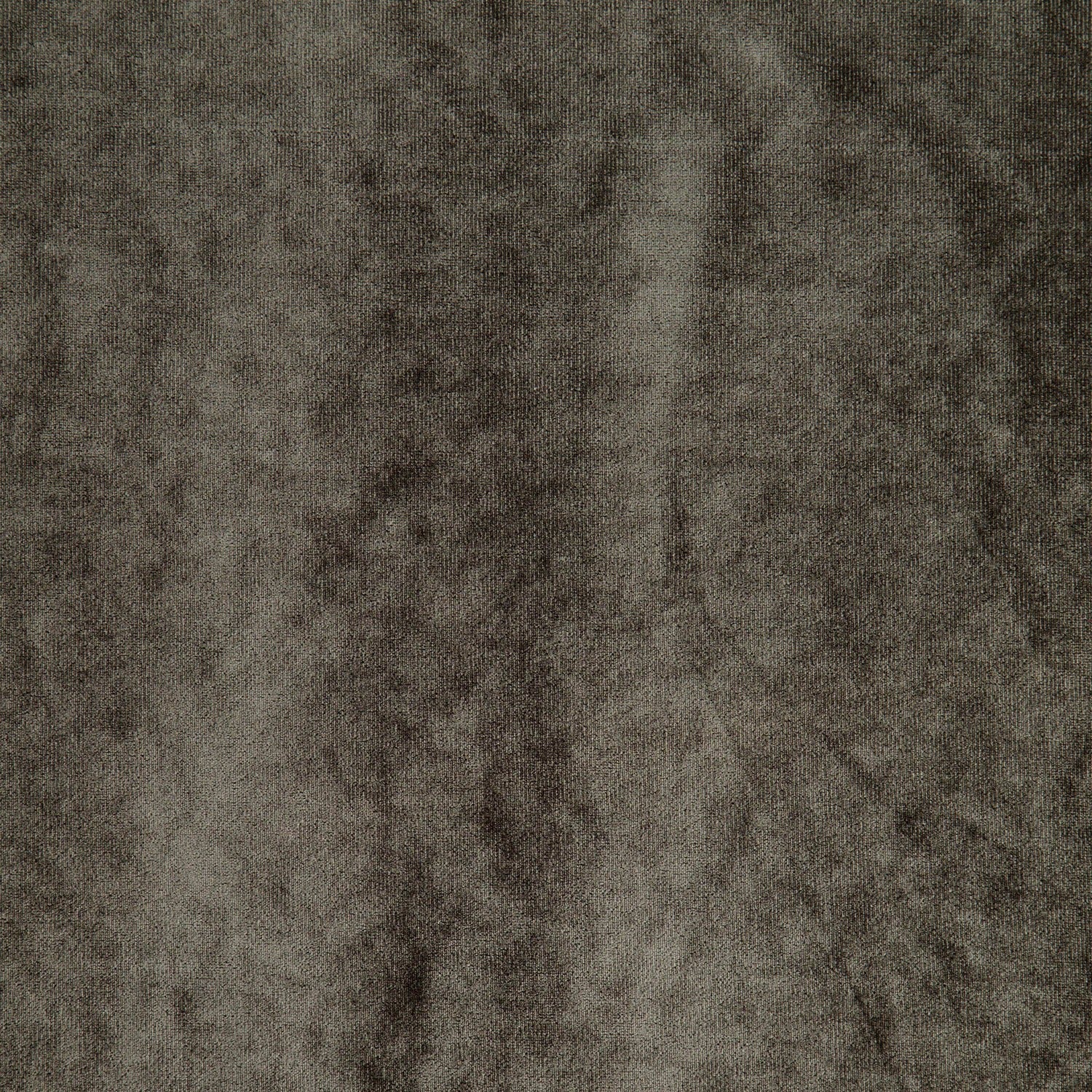 #color_FOSSIL