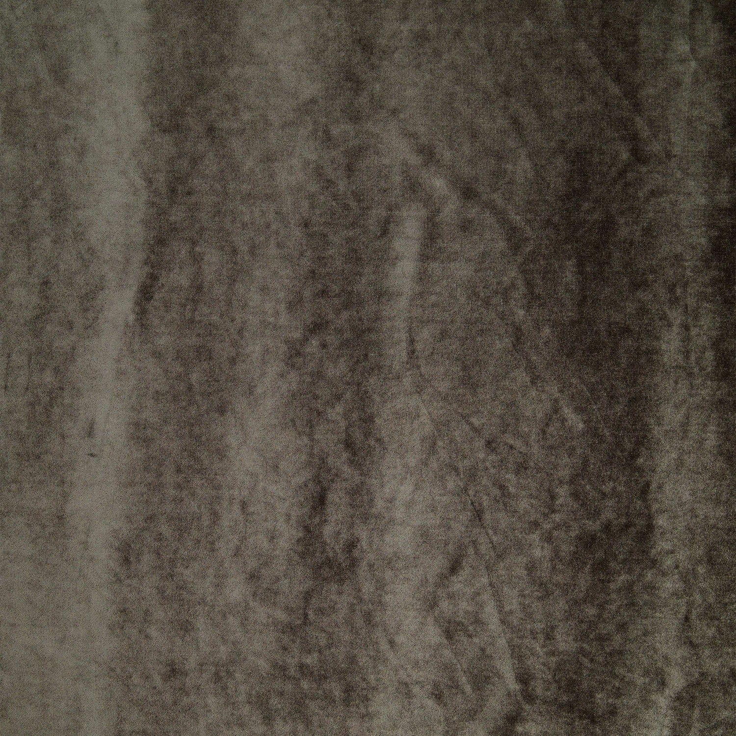 #color_FOSSIL