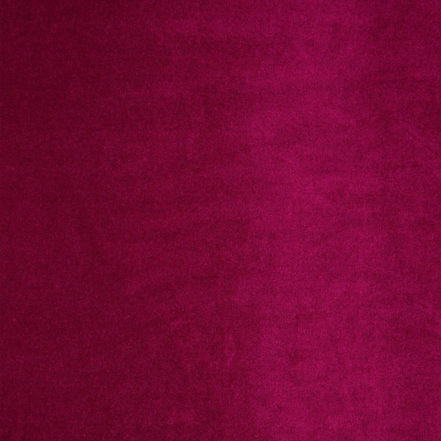 #color_GG FUCHSIA
