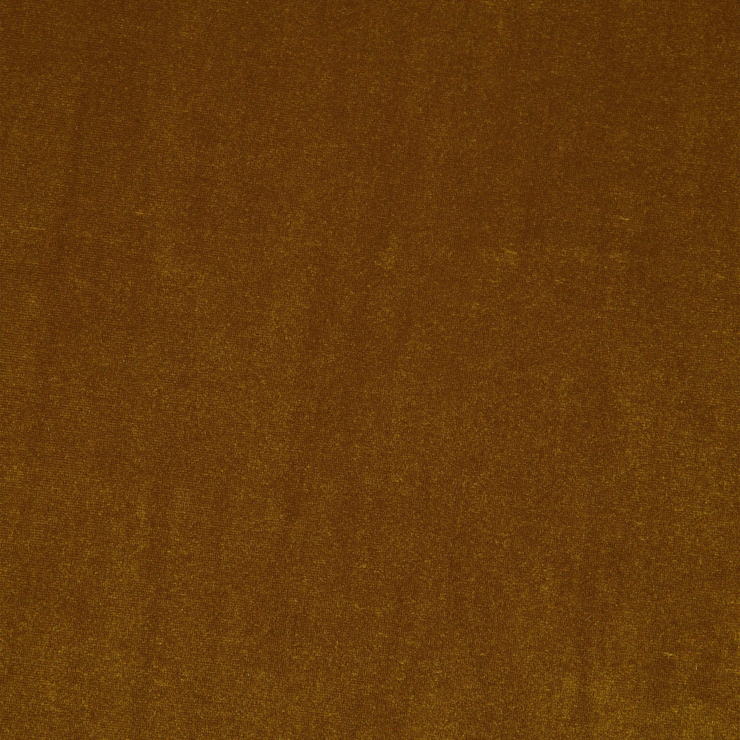 #color_GRACIOUS UMBER