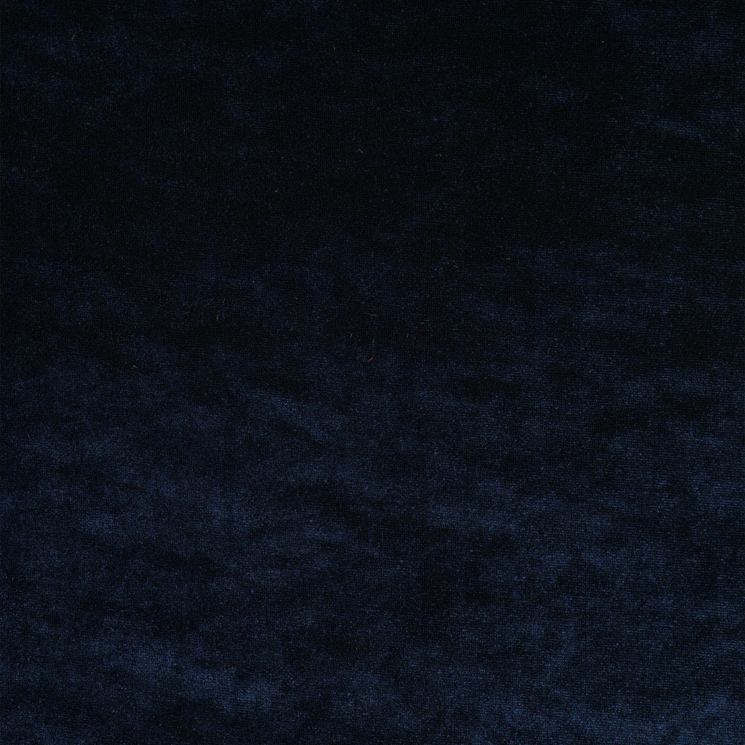 #color_LT NAVY