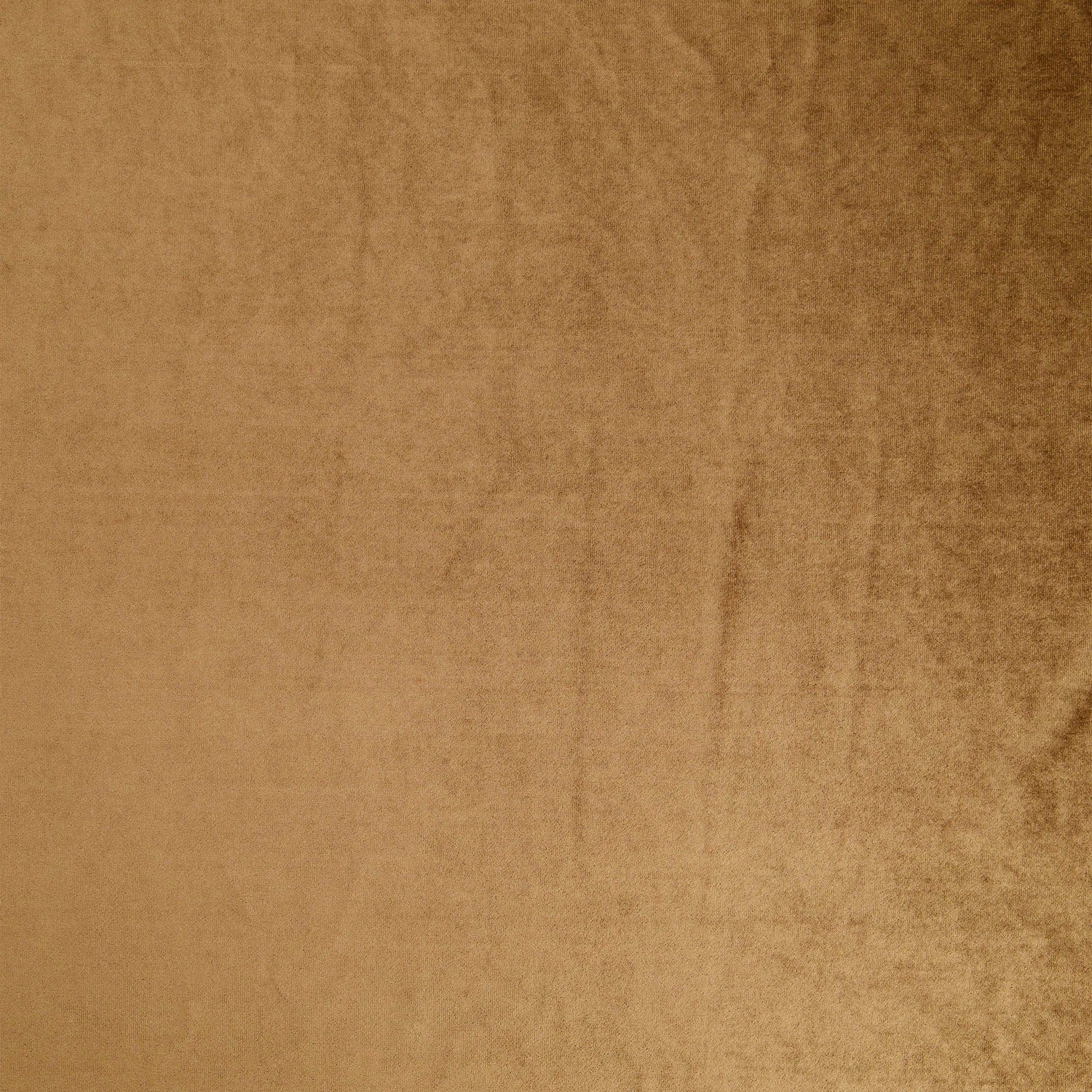 #color_LATTE