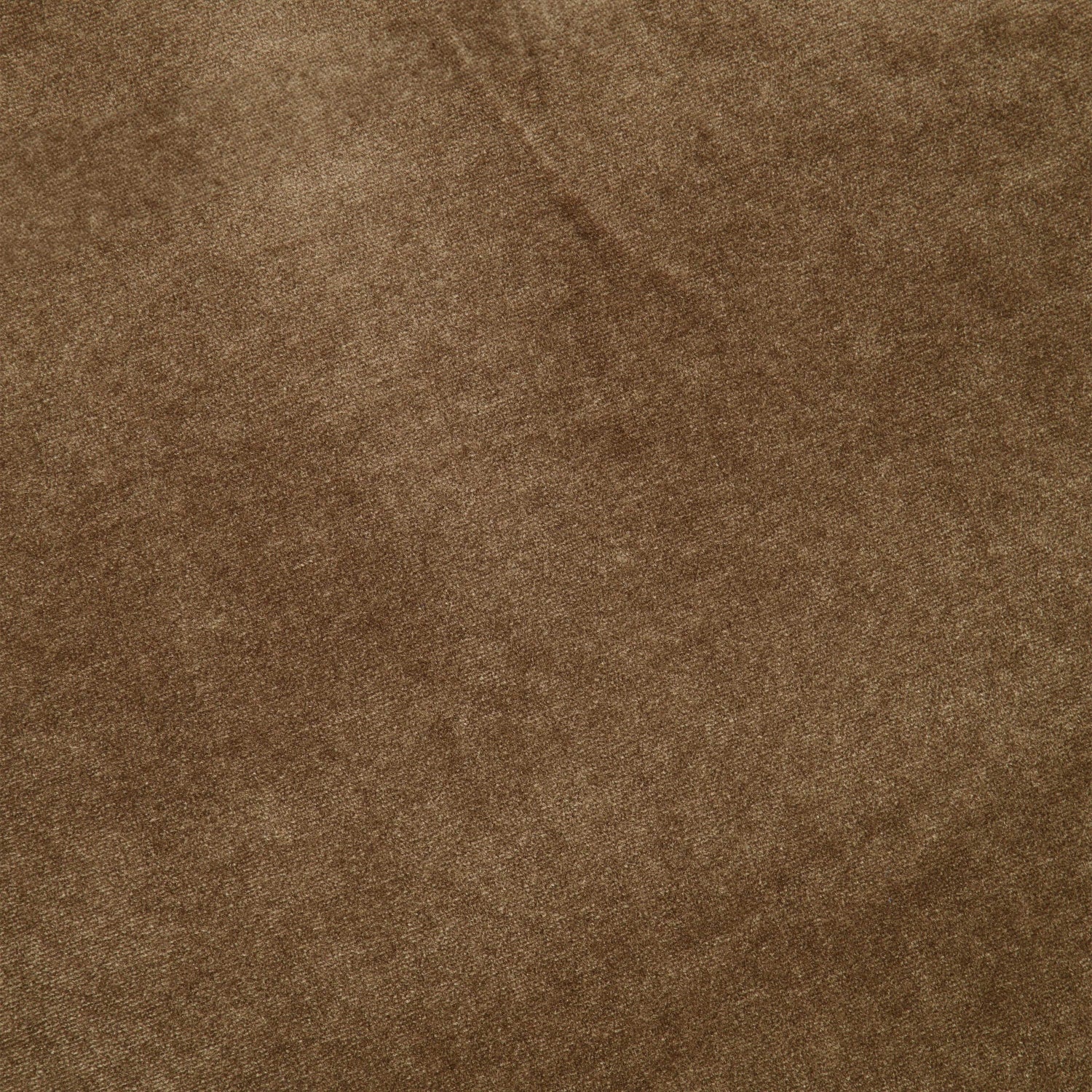 #color_TAUPE SHADOW