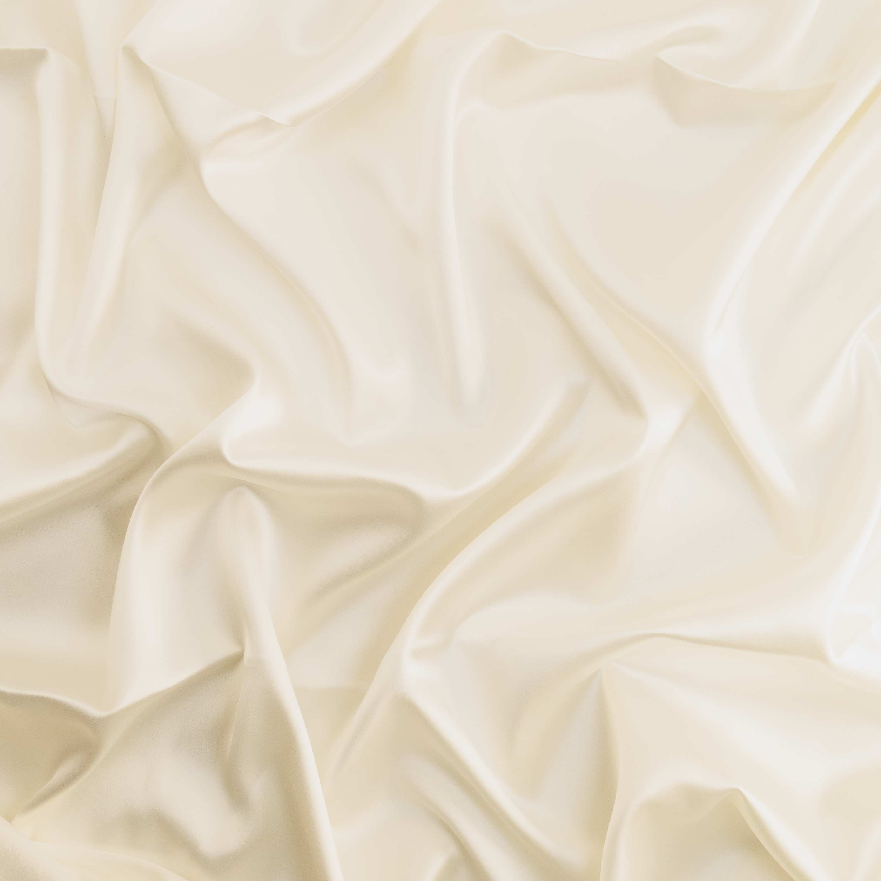 #color_WINTER IVORY