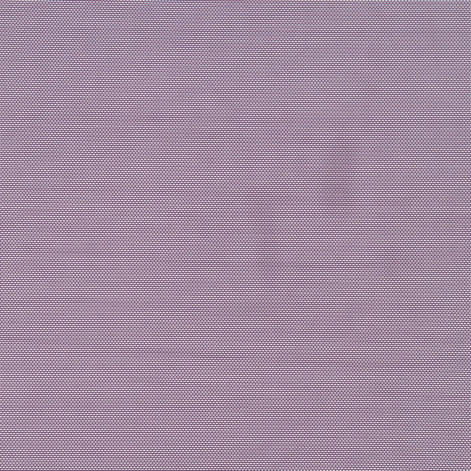 #color_ARRESTING PLUM