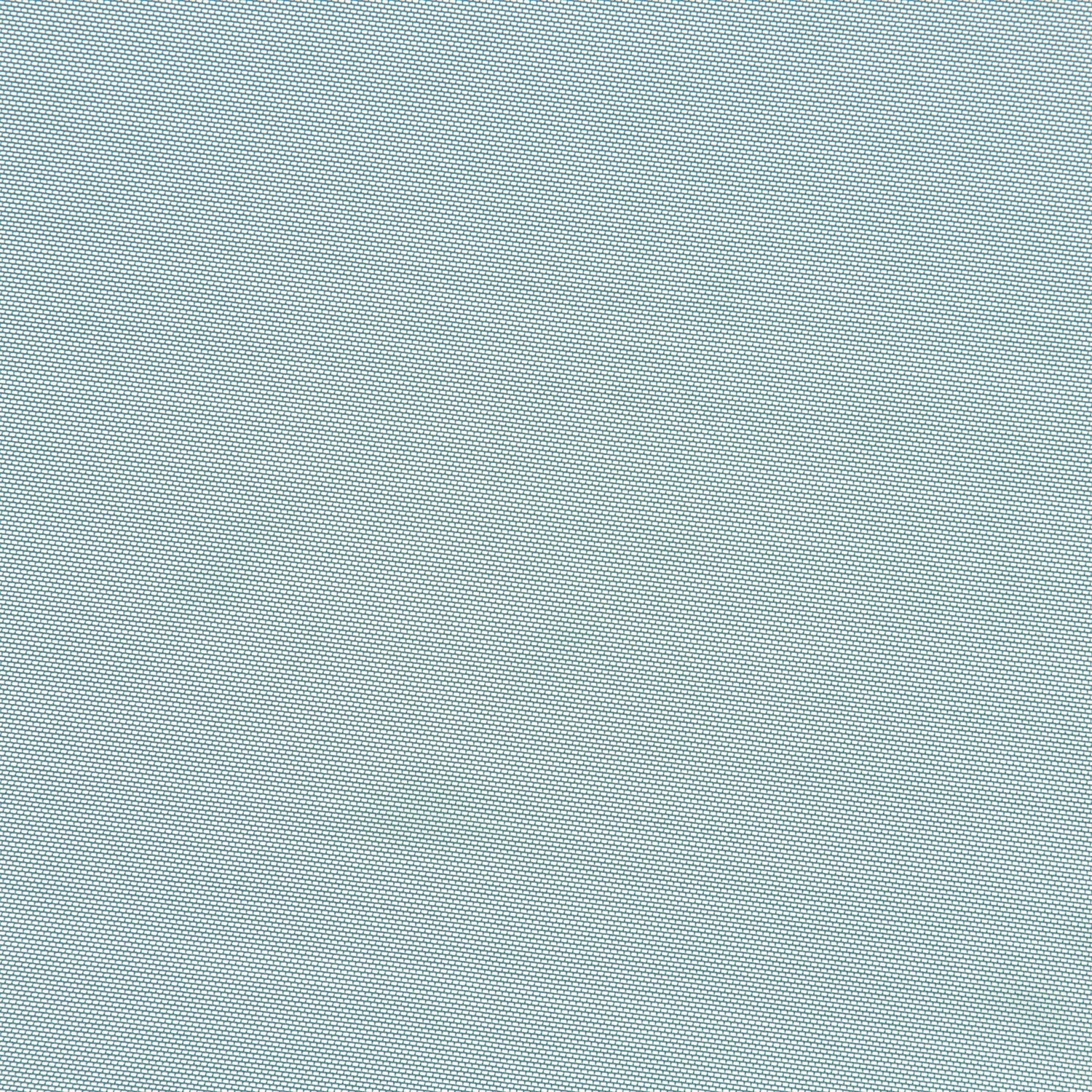 #color_BAROQUE PINE