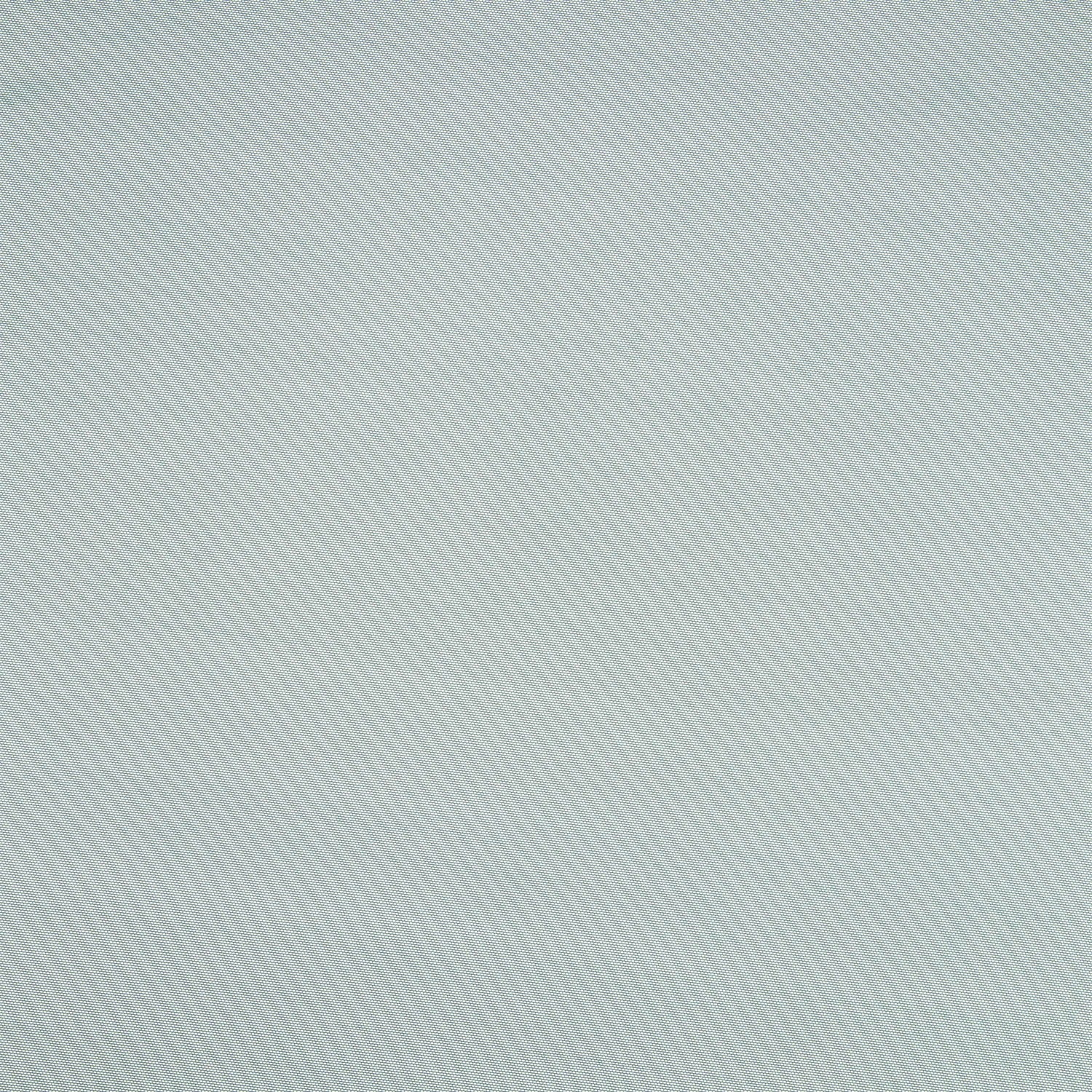 #color_BAROQUE PINE
