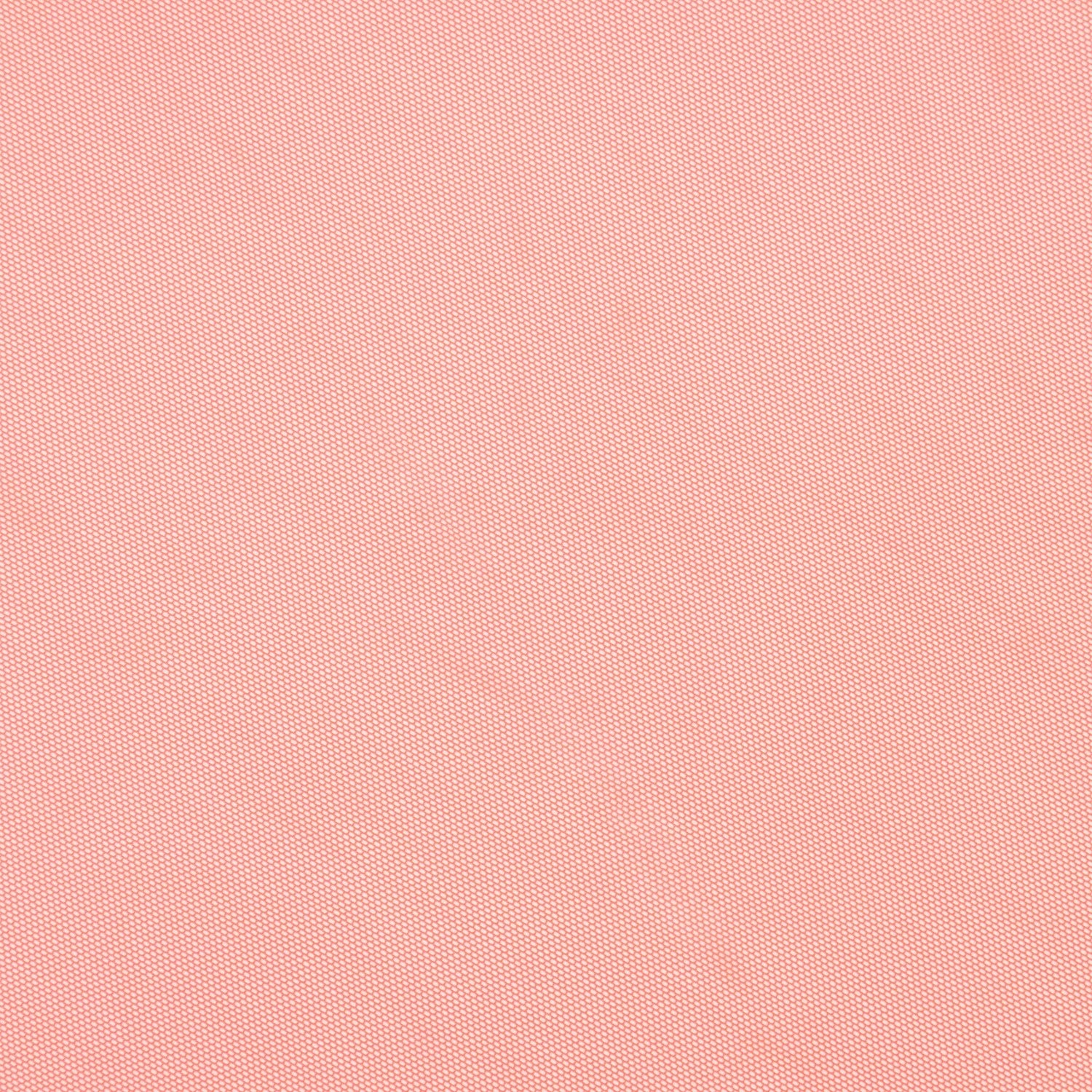 #color_BRIGHT PEACH