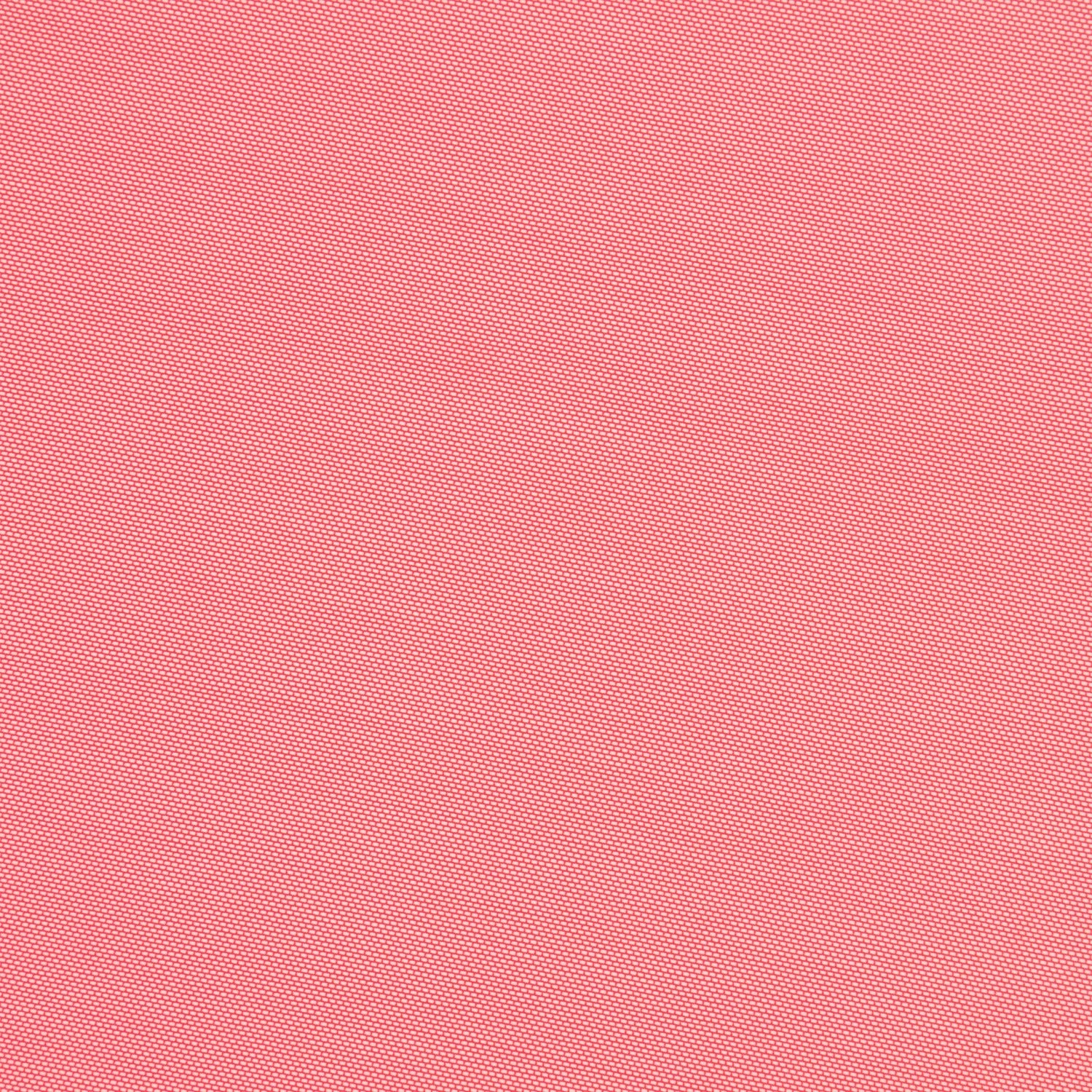 #color_FRUIT PUNCH