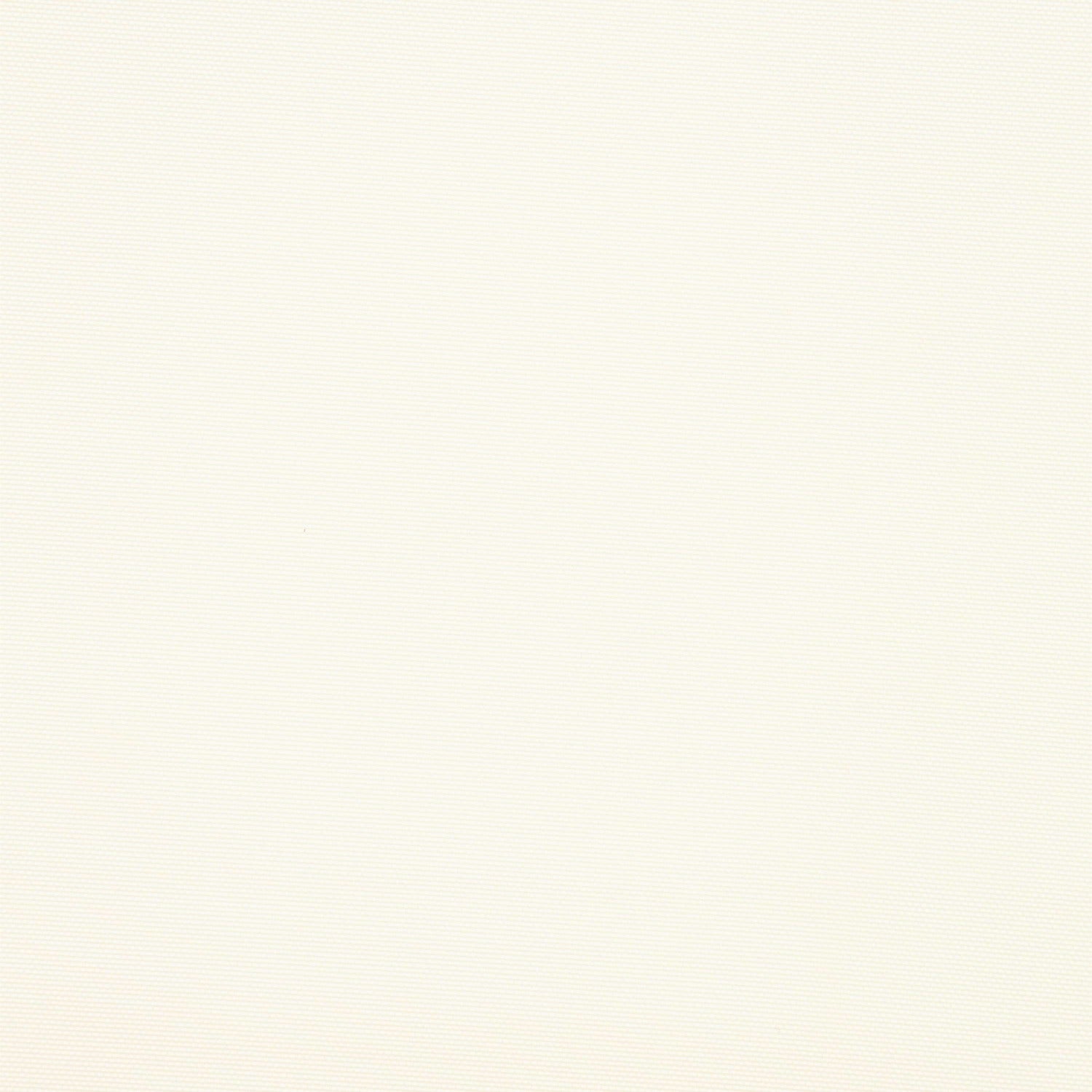 #color_OYSTER