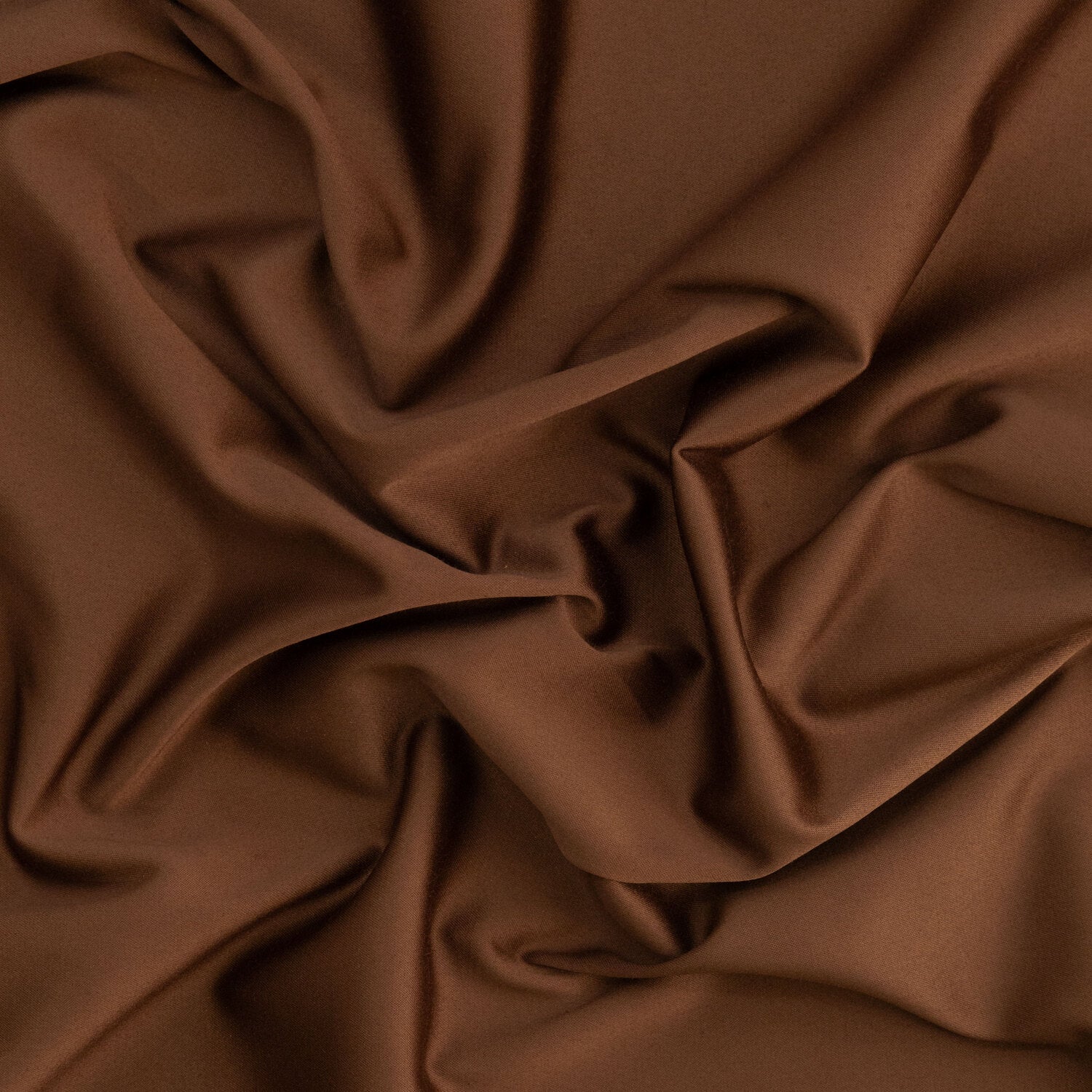 #color_229 COCO