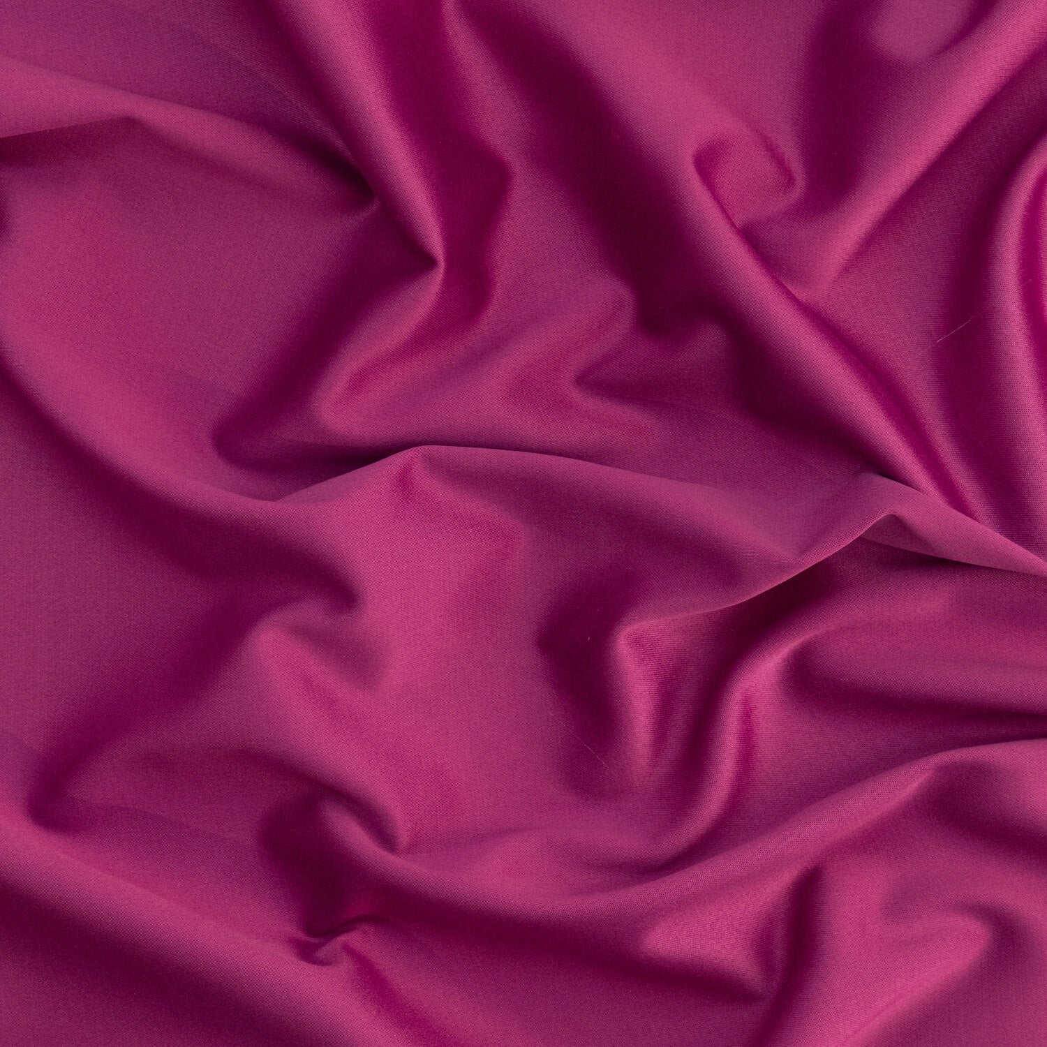 #color_626 PURPLE HEART