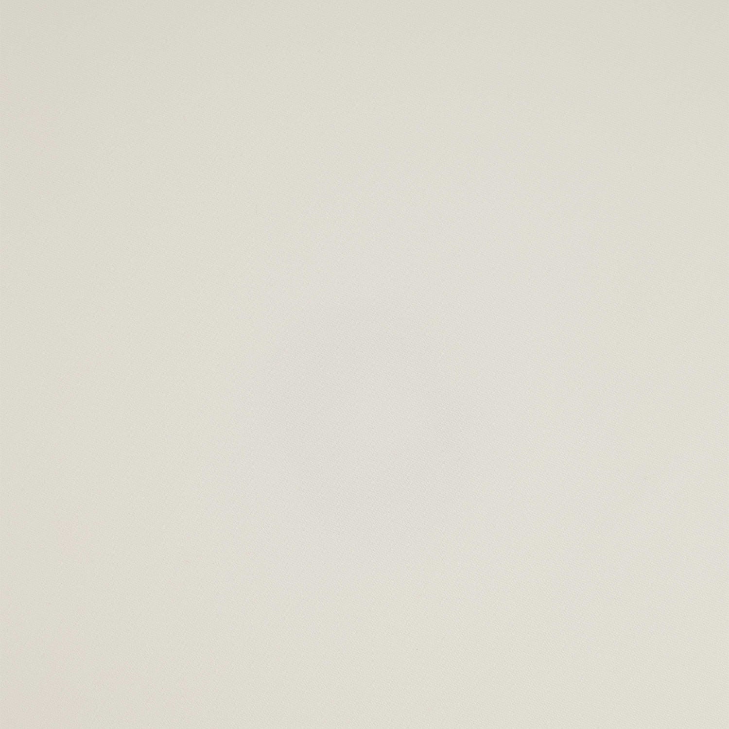 #color_NEW SPRING IVORY