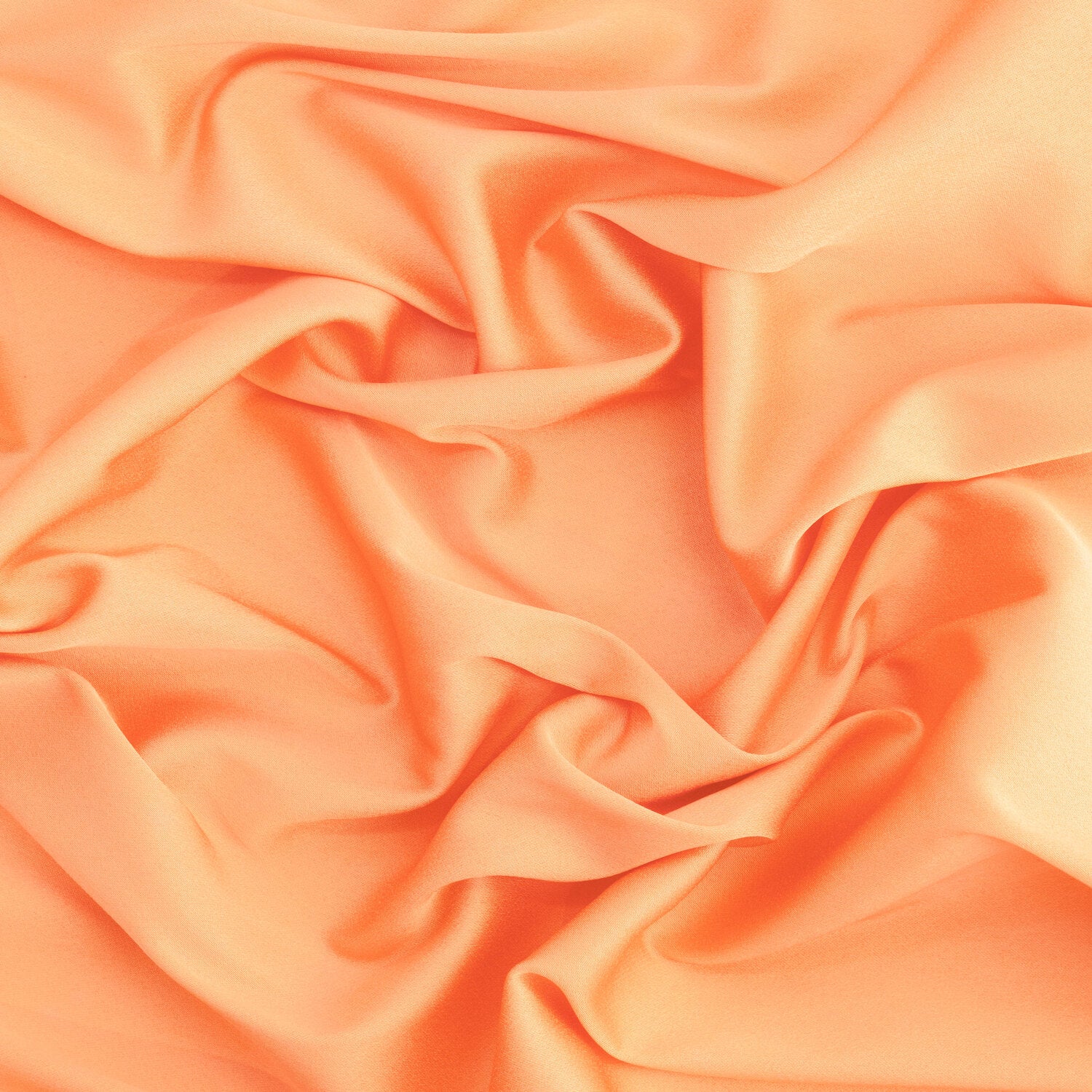 #color_CONCH SHELL