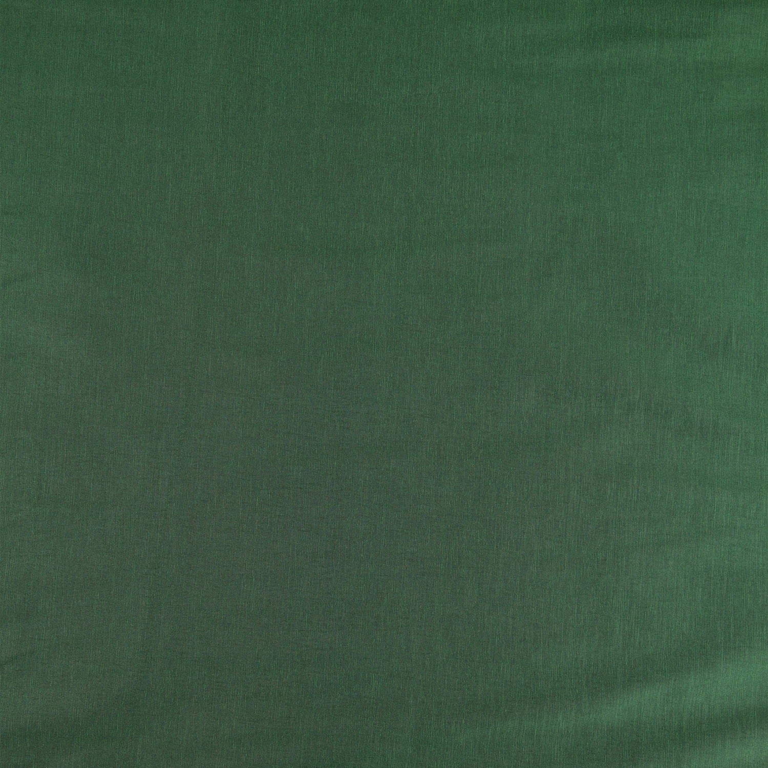 #color_BAROQUE PINE