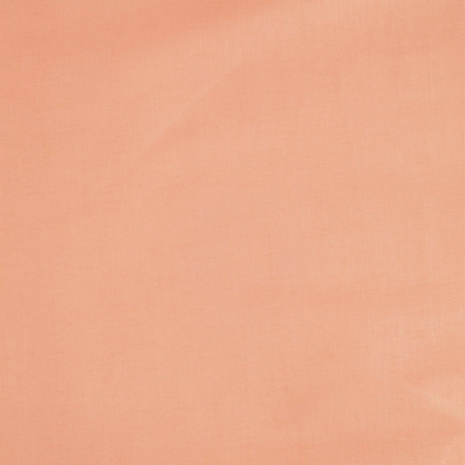 #color_GRACIOUS APRICOT