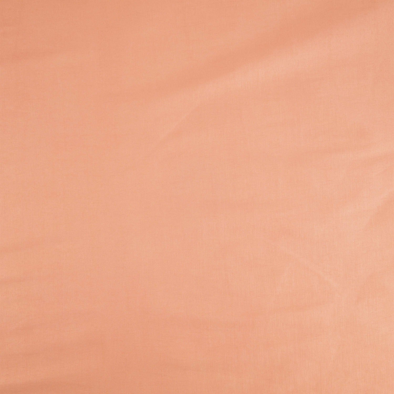 #color_GRACIOUS APRICOT