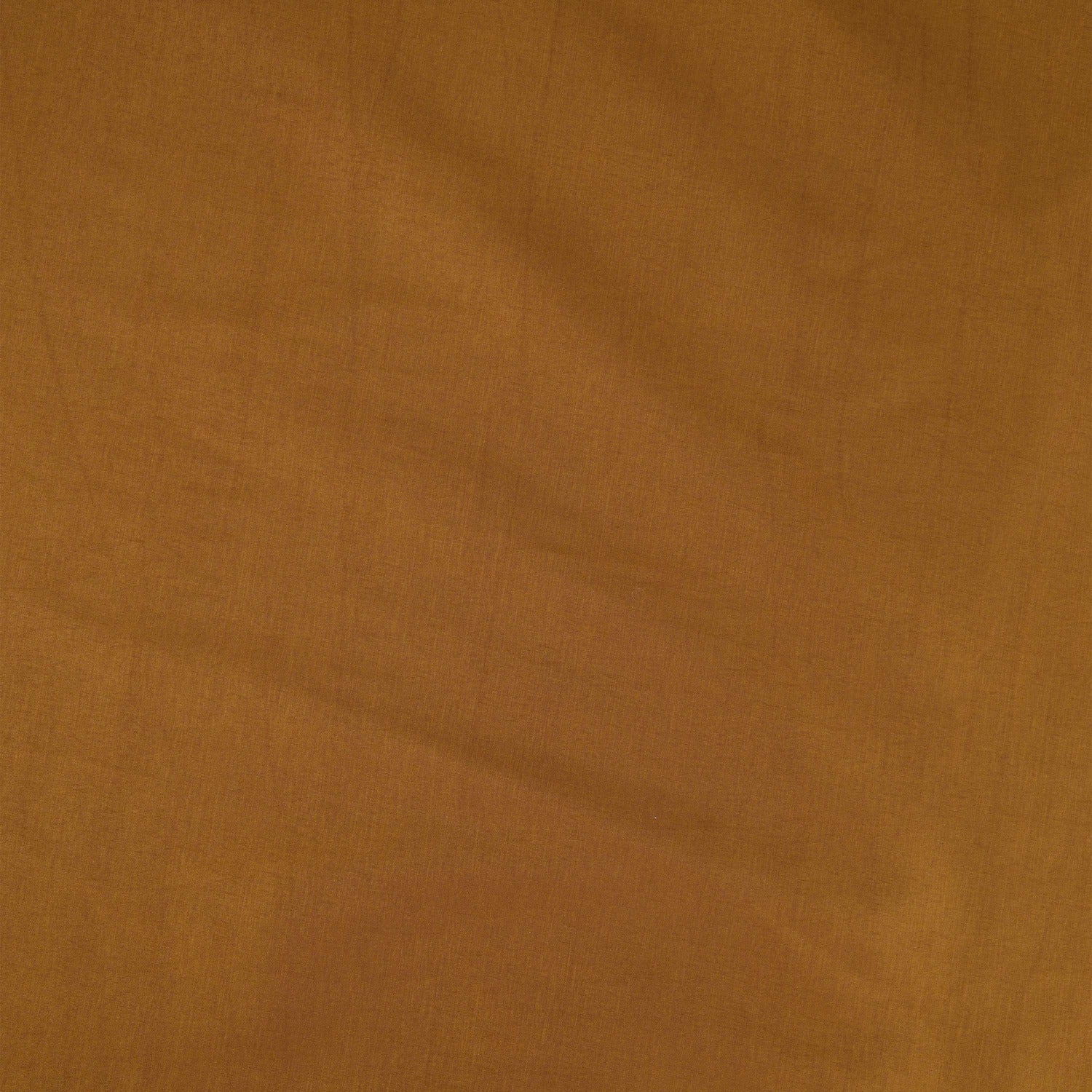 #color_GRACIOUS UMBER