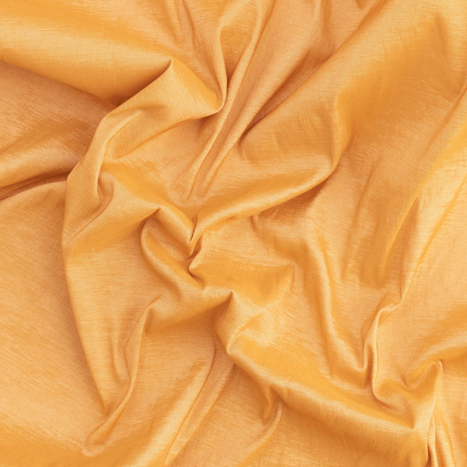 #color_PALM GOLD