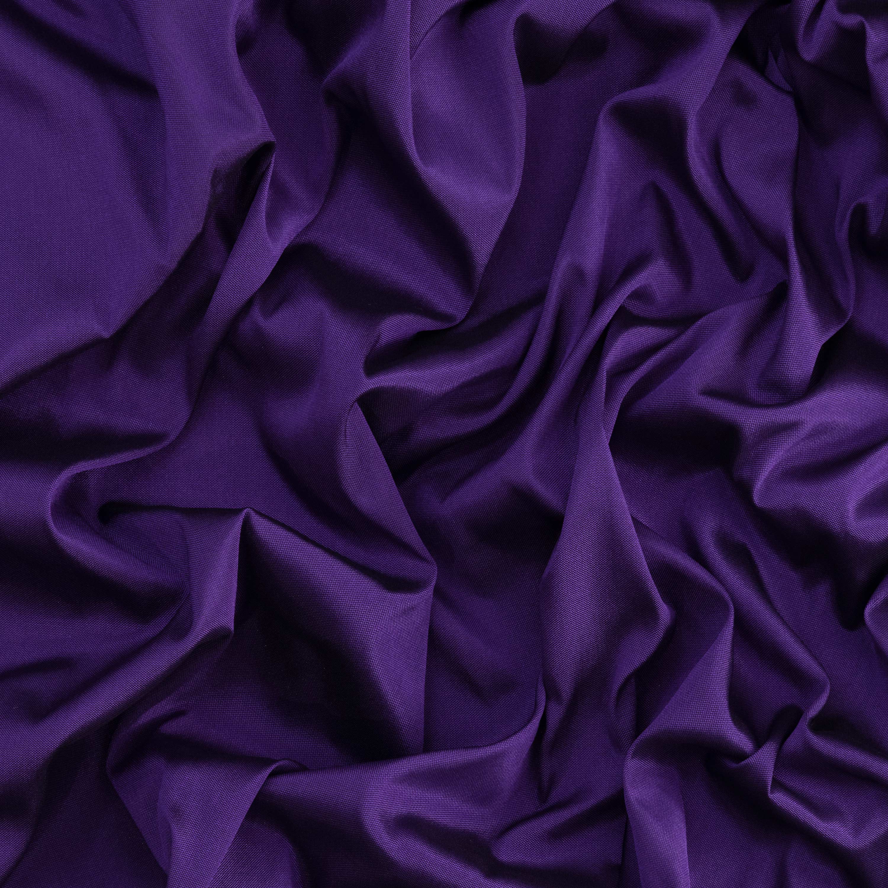 #color_PURPLE