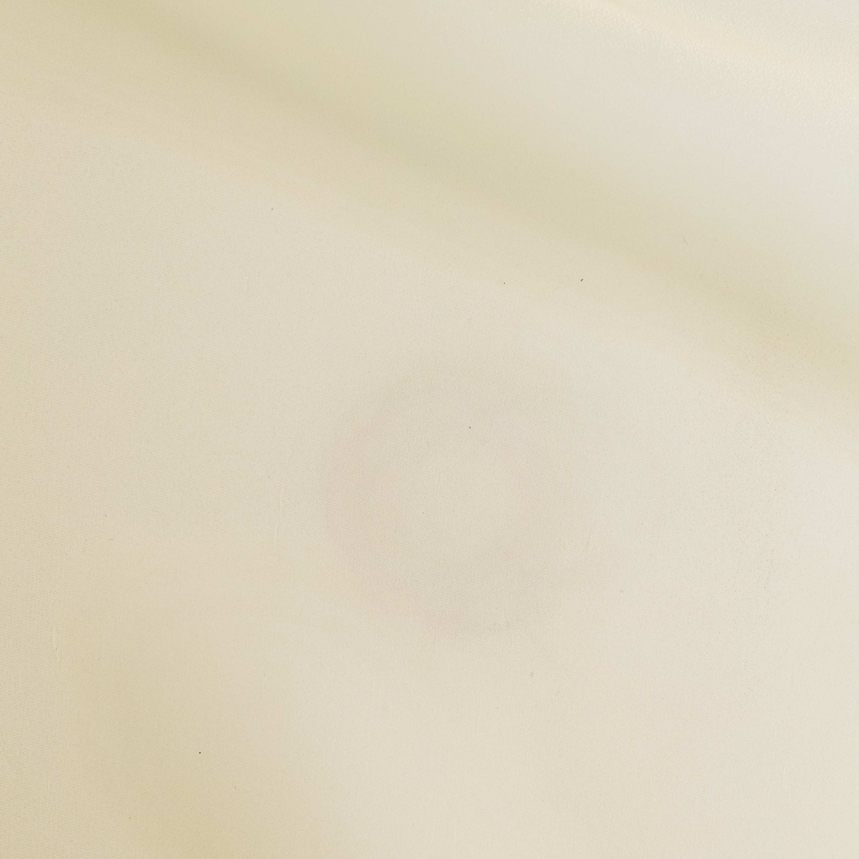 #color_ORNATE IVORY