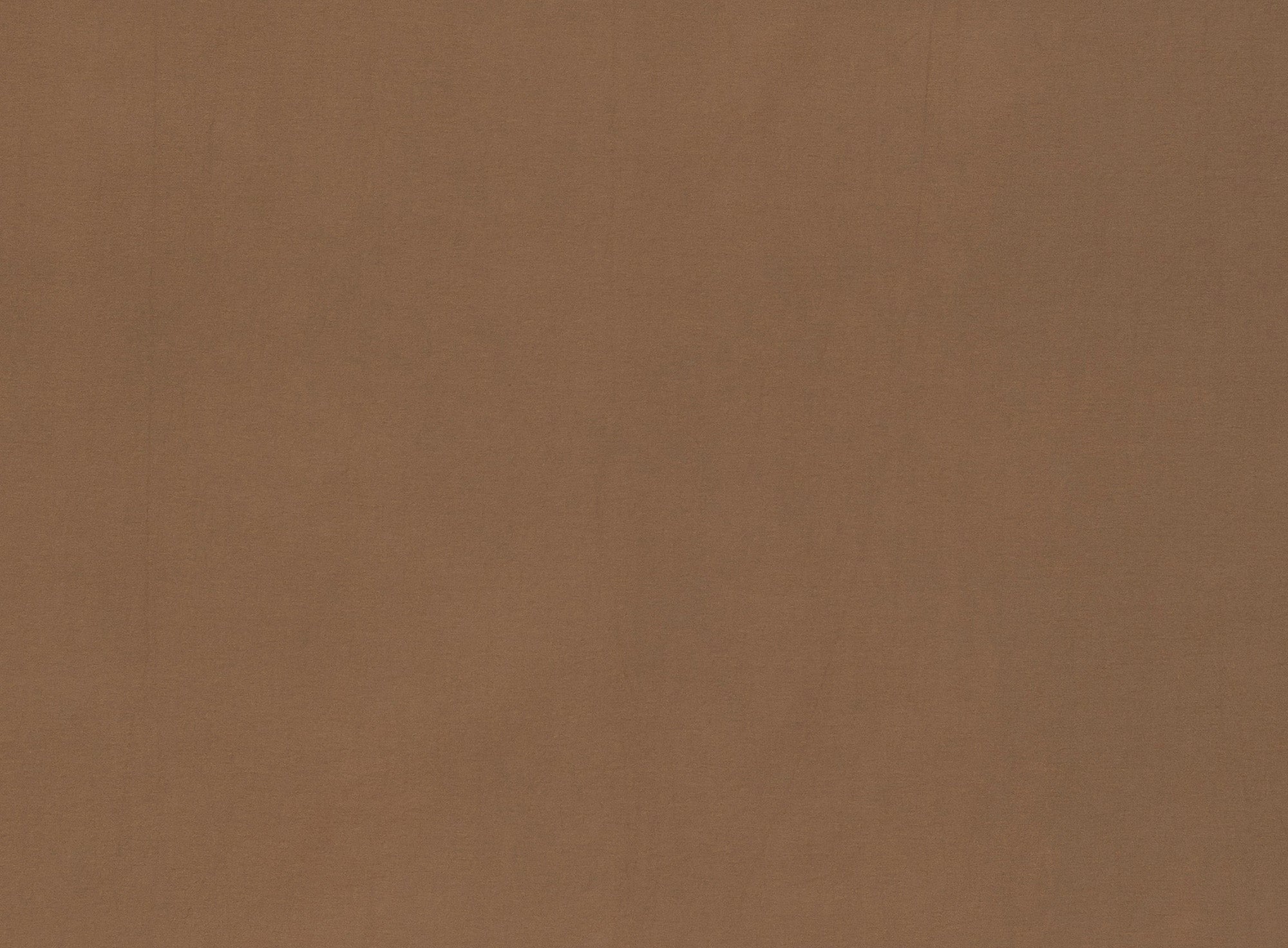 #color_FALL CAMEL