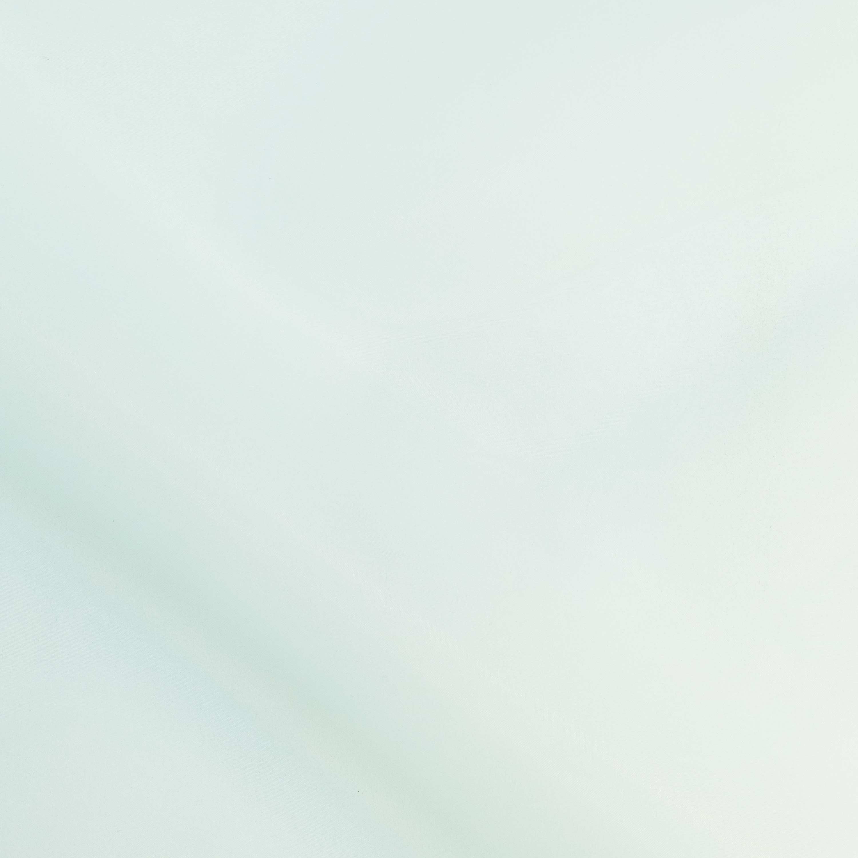 #color_FROSTY MINT