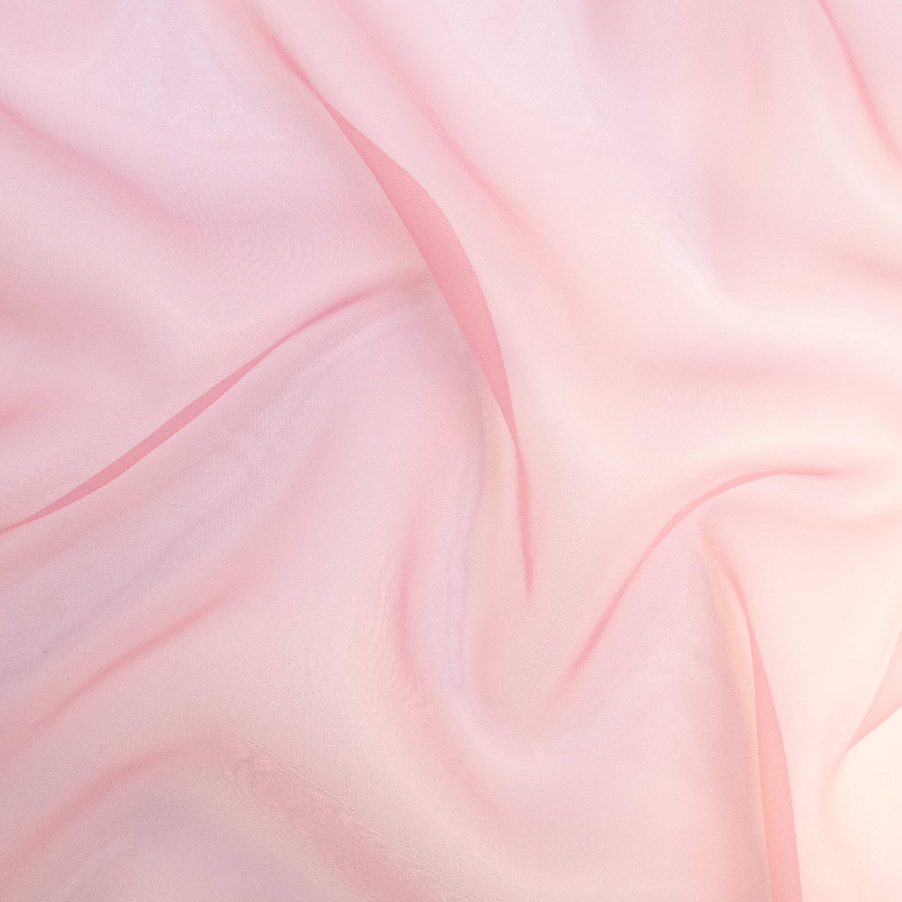 #color_ROSE SHELL