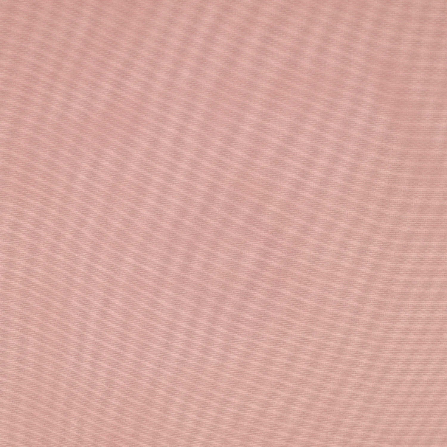 #color_ROSE SHELL