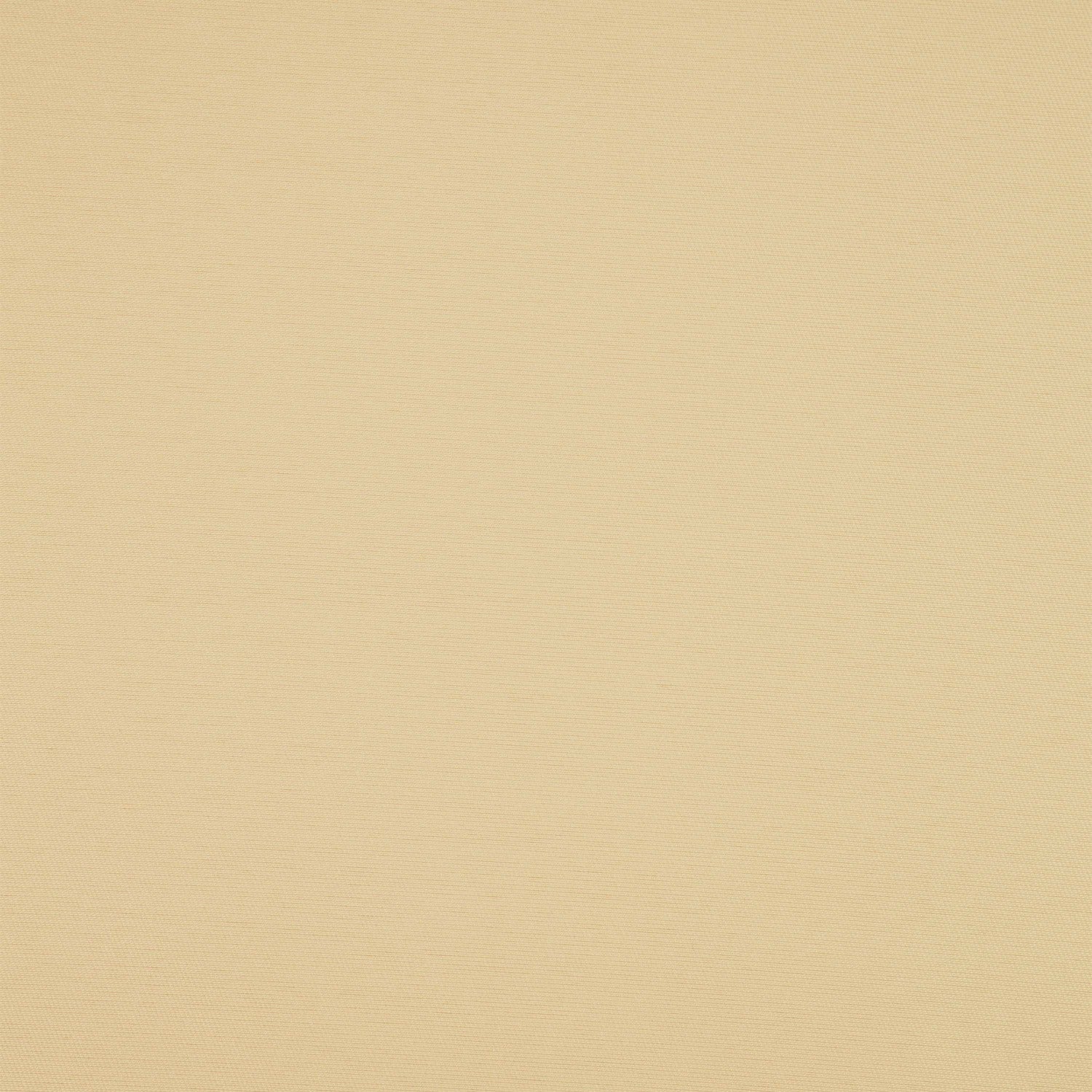 #color_SPRING SAND