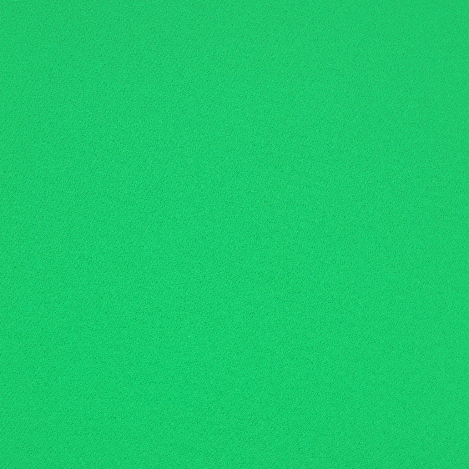 #color_PARAKEET GREEN